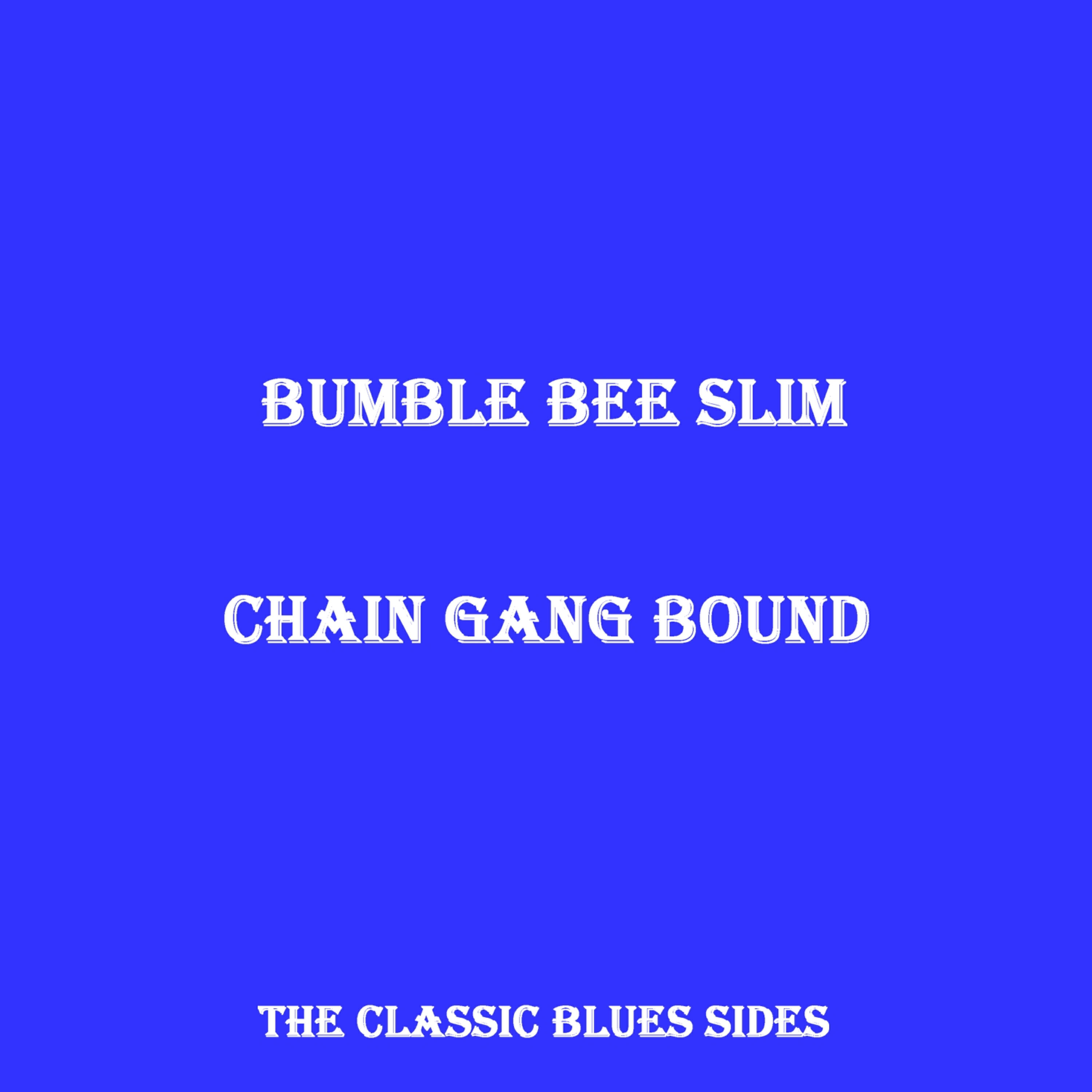 Bumble Bee Slim - The Longest Day You Live Part 2
