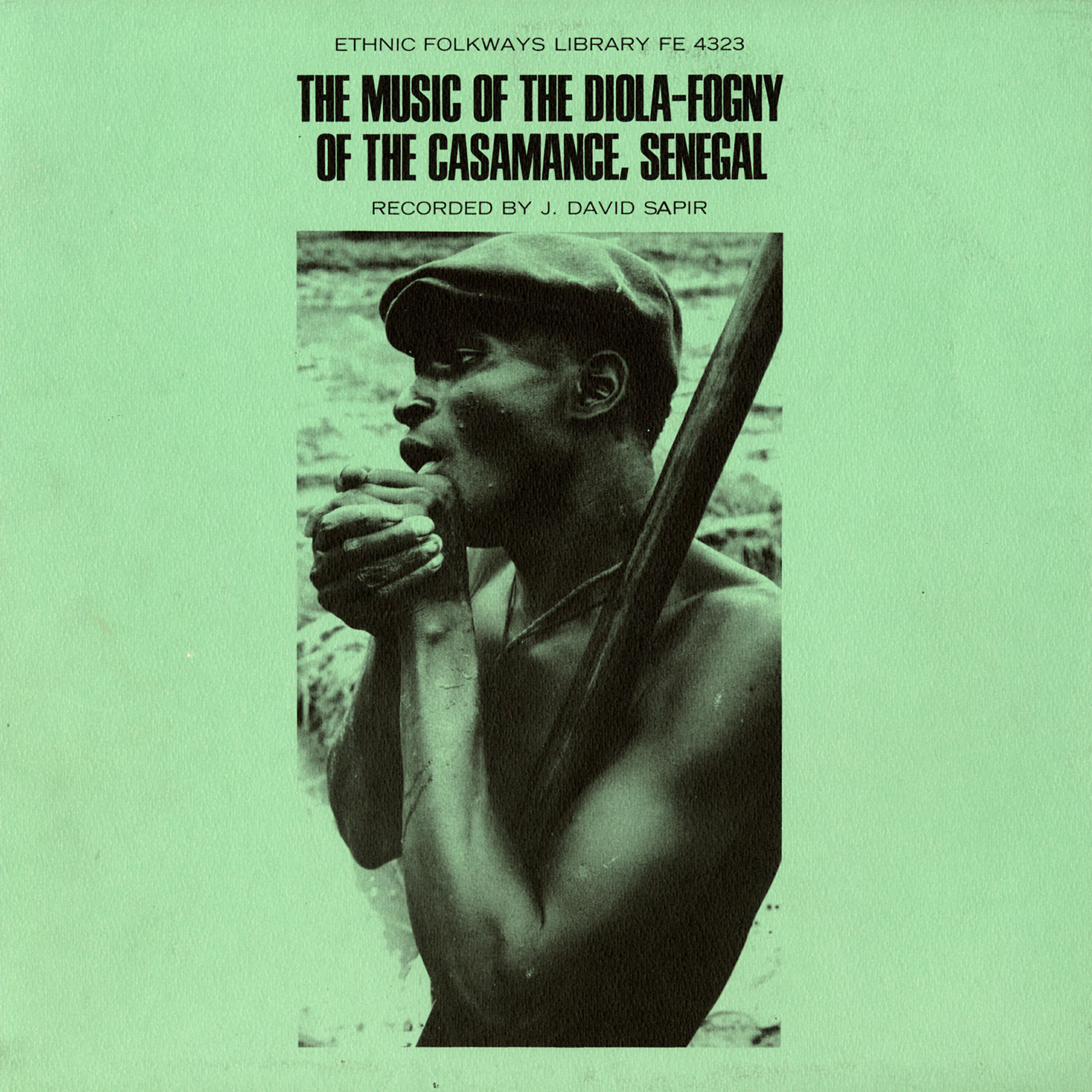 Bakari Badji - Cultivating in Rice Fields