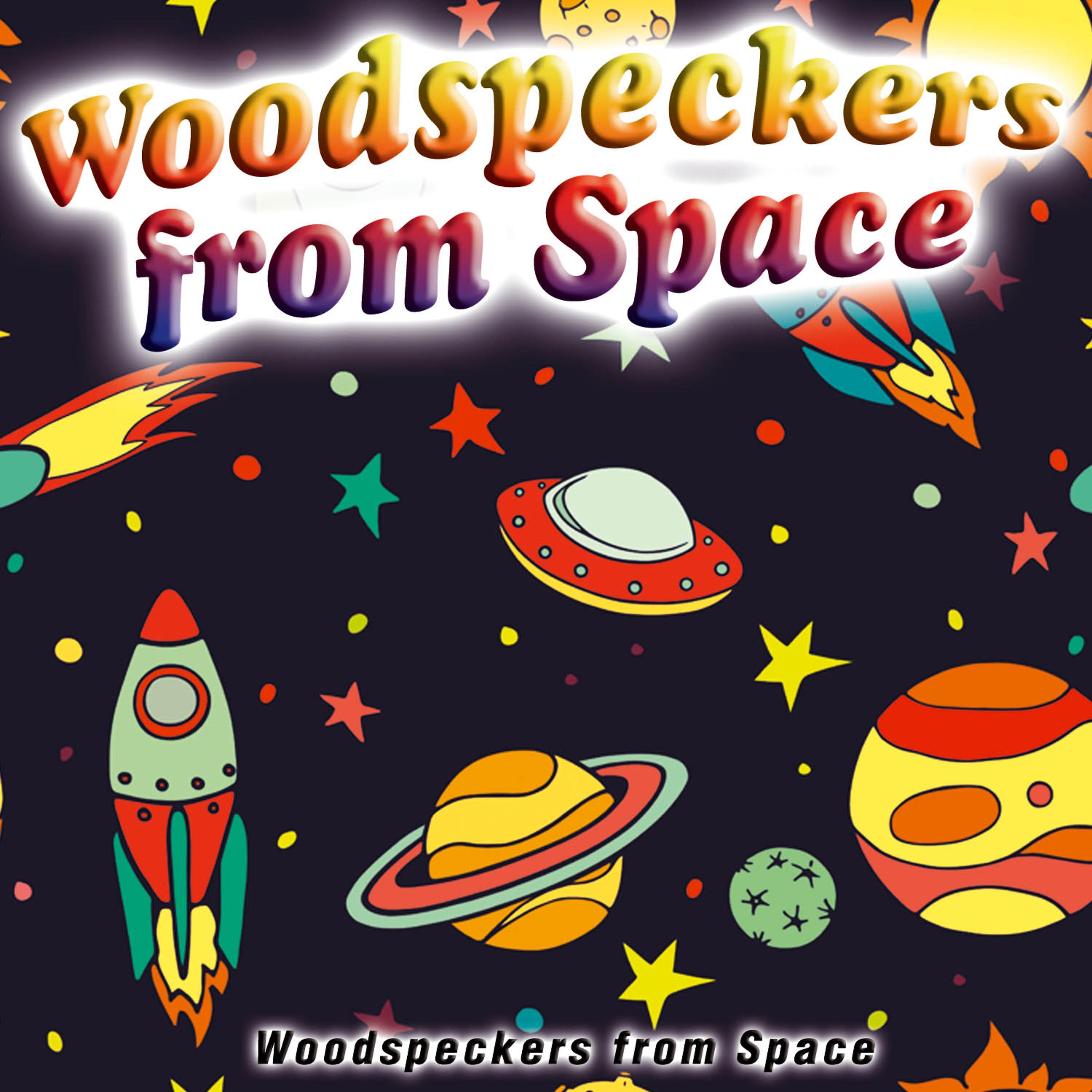 Постер альбома Woodspeckers from Space