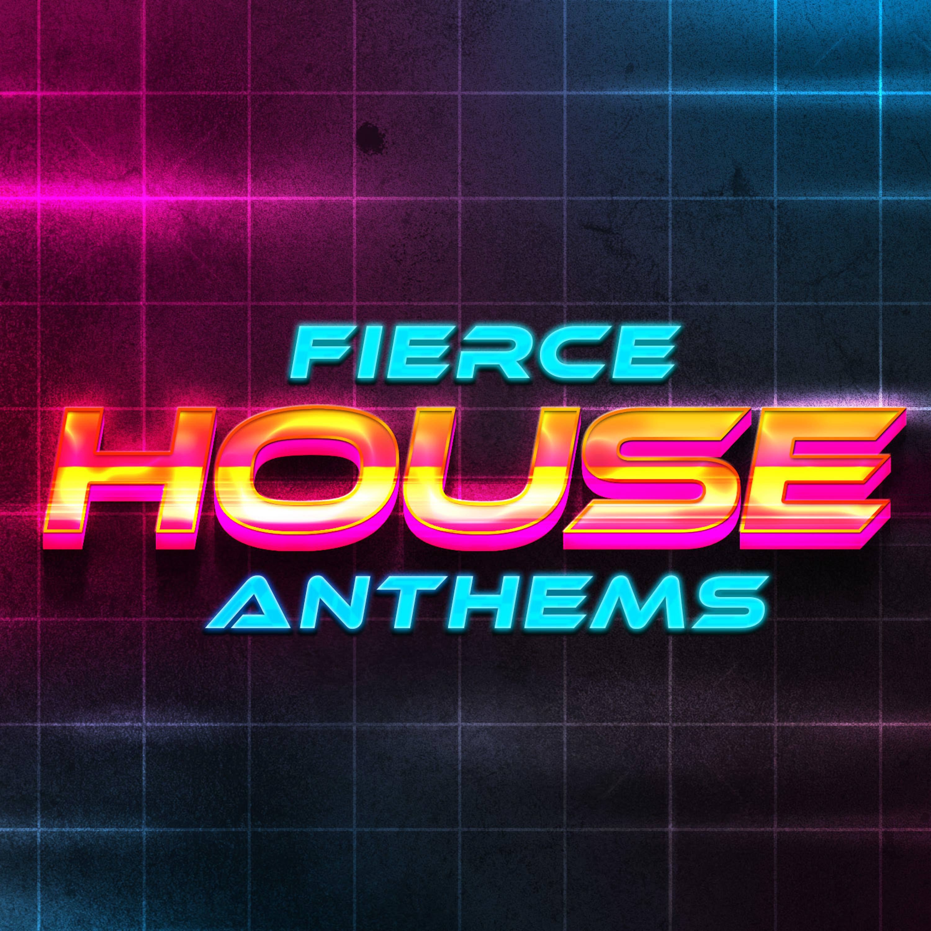 Постер альбома Fierce House Anthems