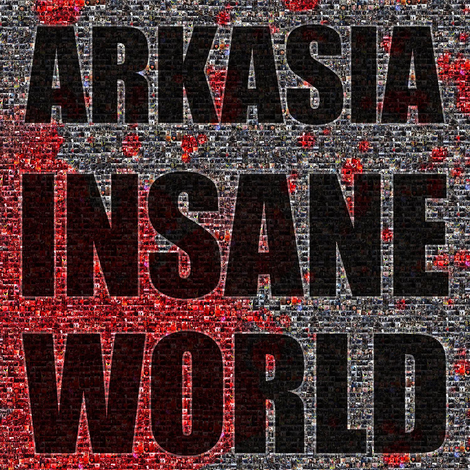 Постер альбома Insane World
