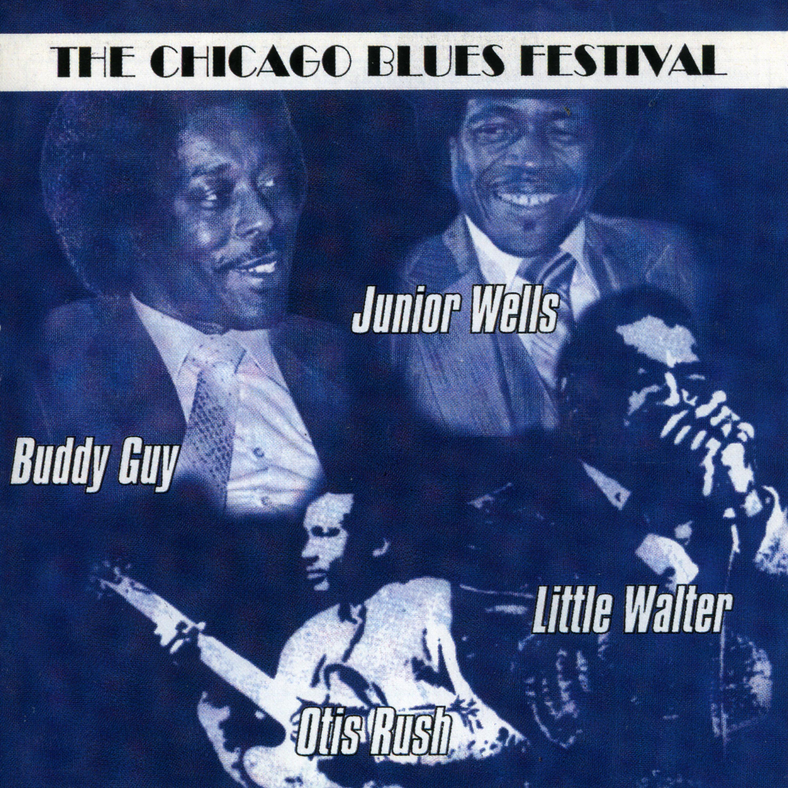 Постер альбома The Chicago Blues Festival