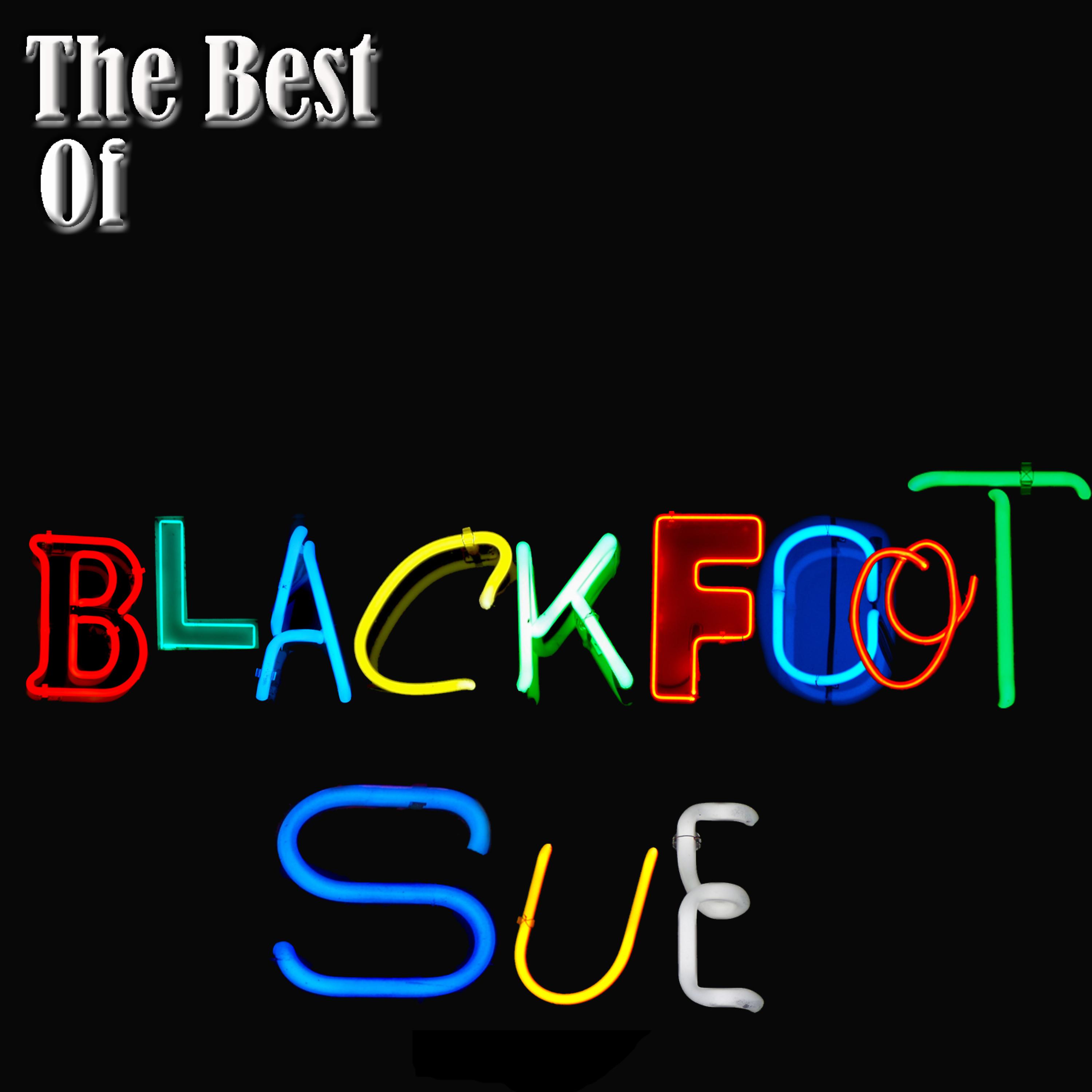Постер альбома The Best Of Blackfoot Sue