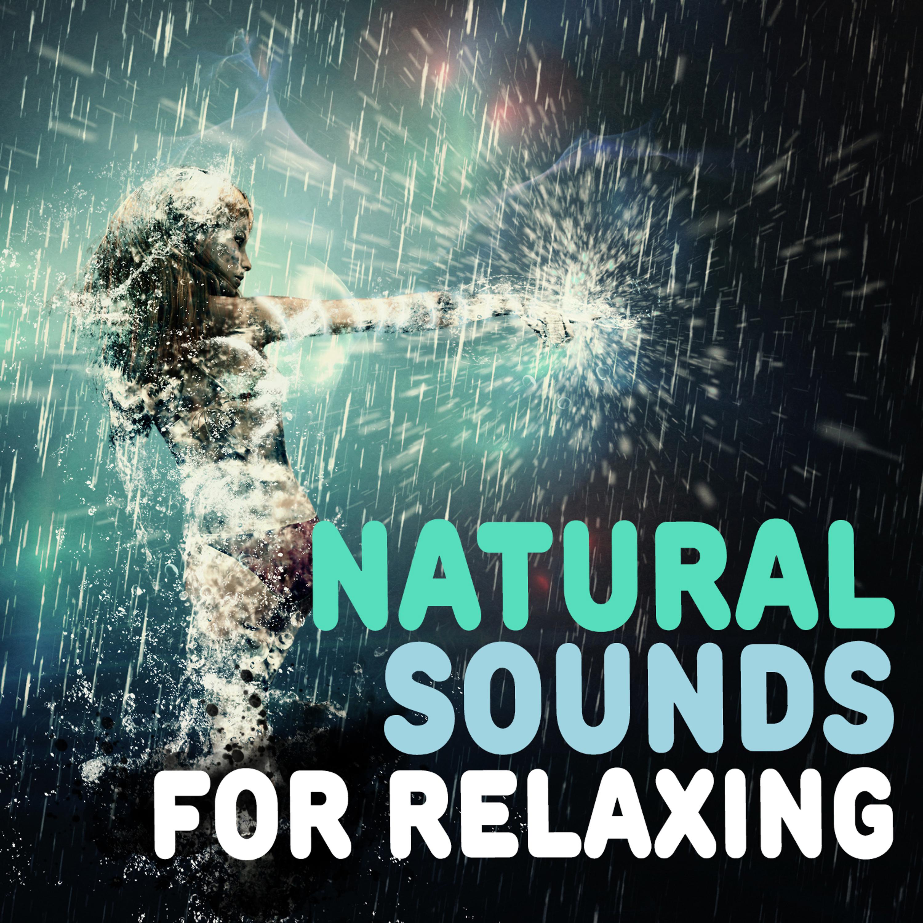 Постер альбома Natural Sounds for Relaxing