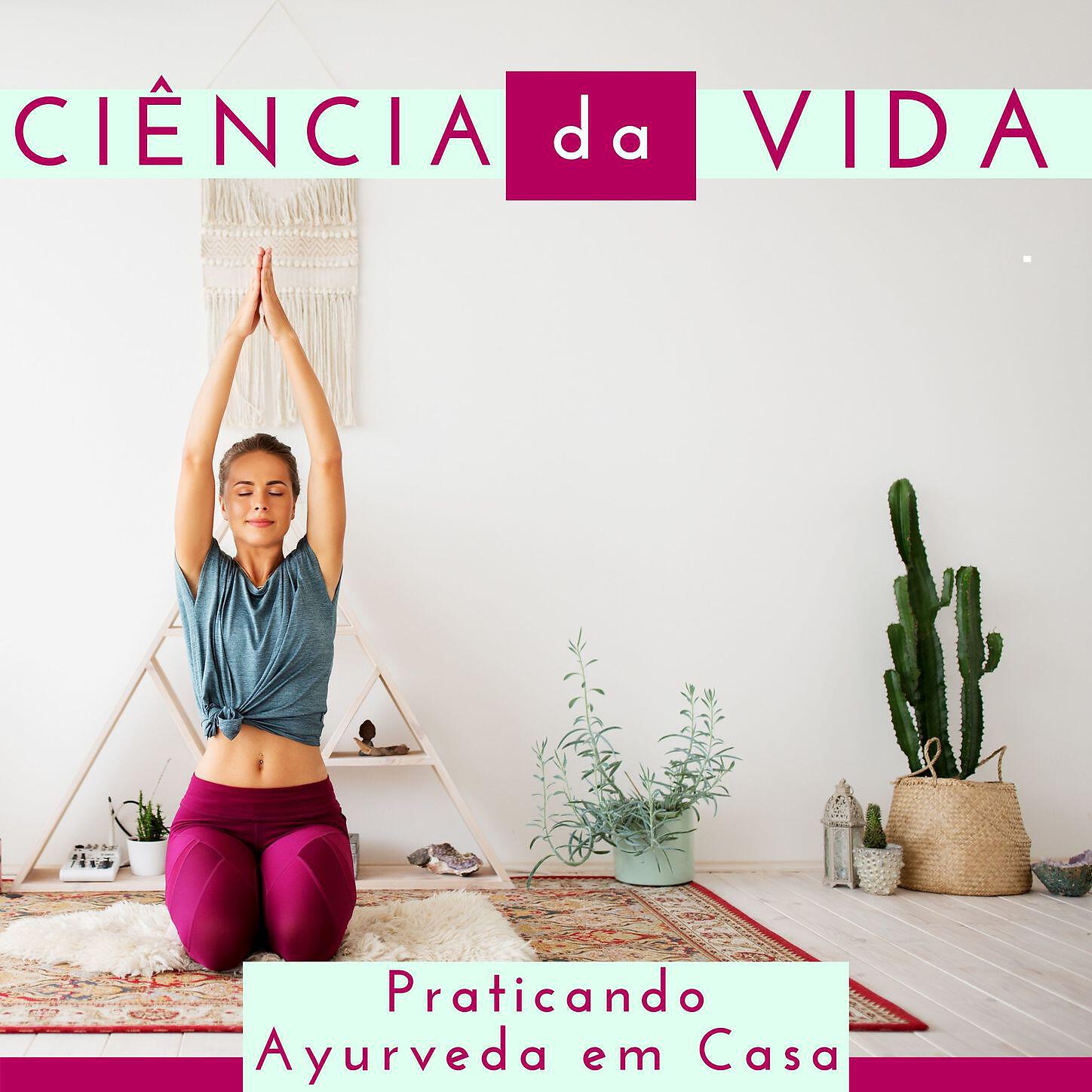 Rafael Vidal - Boas Vibrações