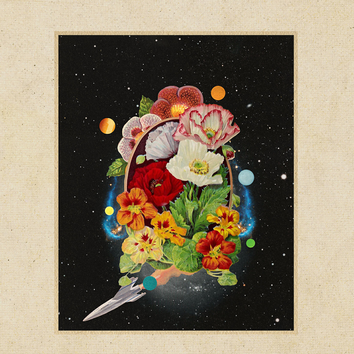 don C - lantana