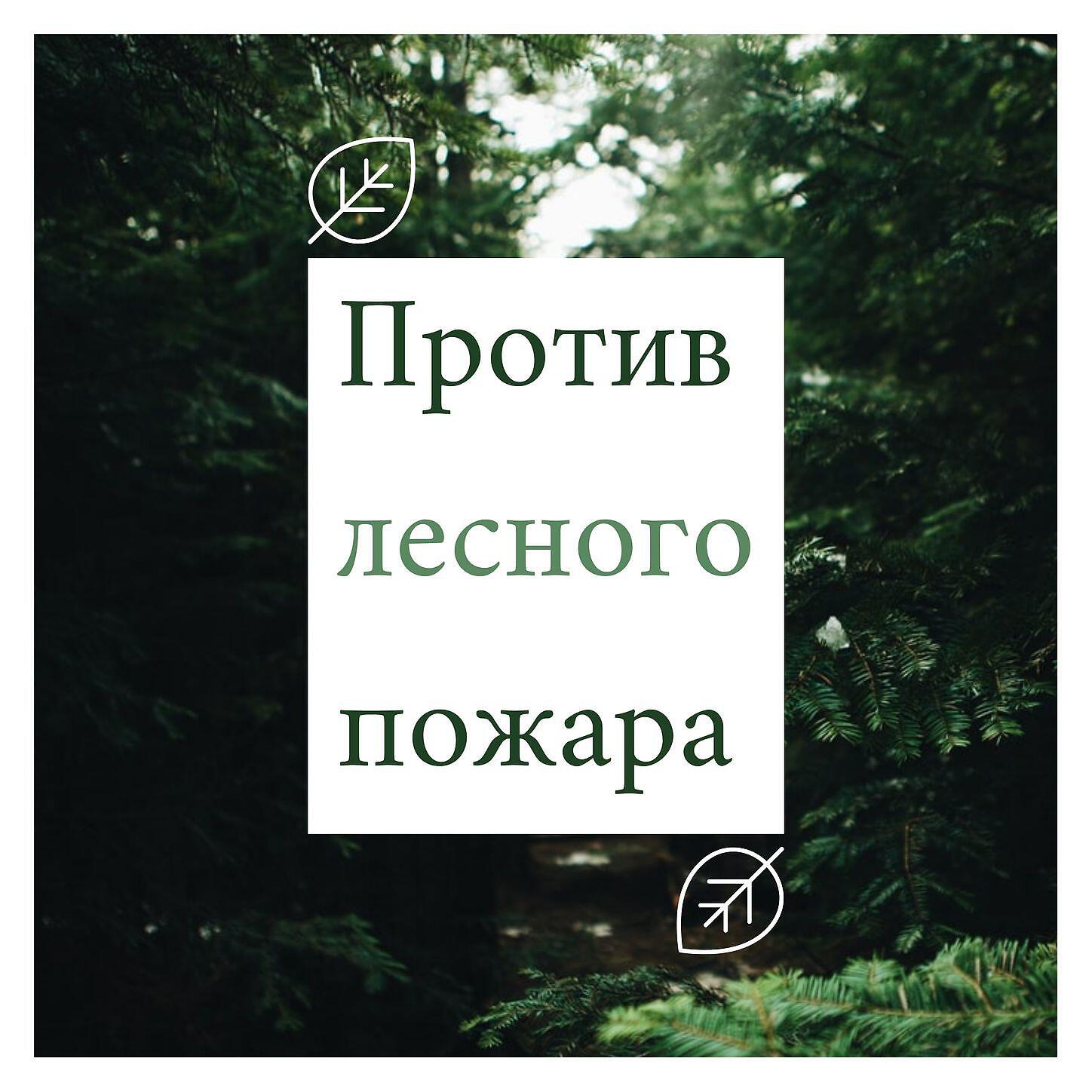 Ирина Северова - Флора и фауна