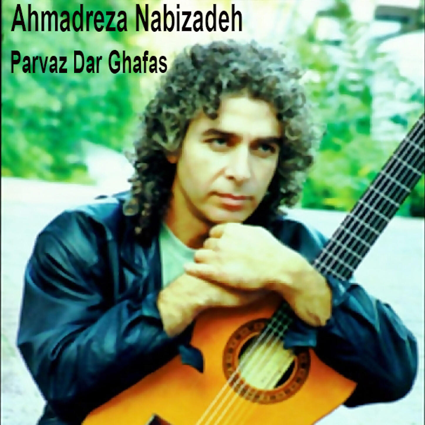 Ahmadreza Nabizadeh - Parvaz dar ghafas