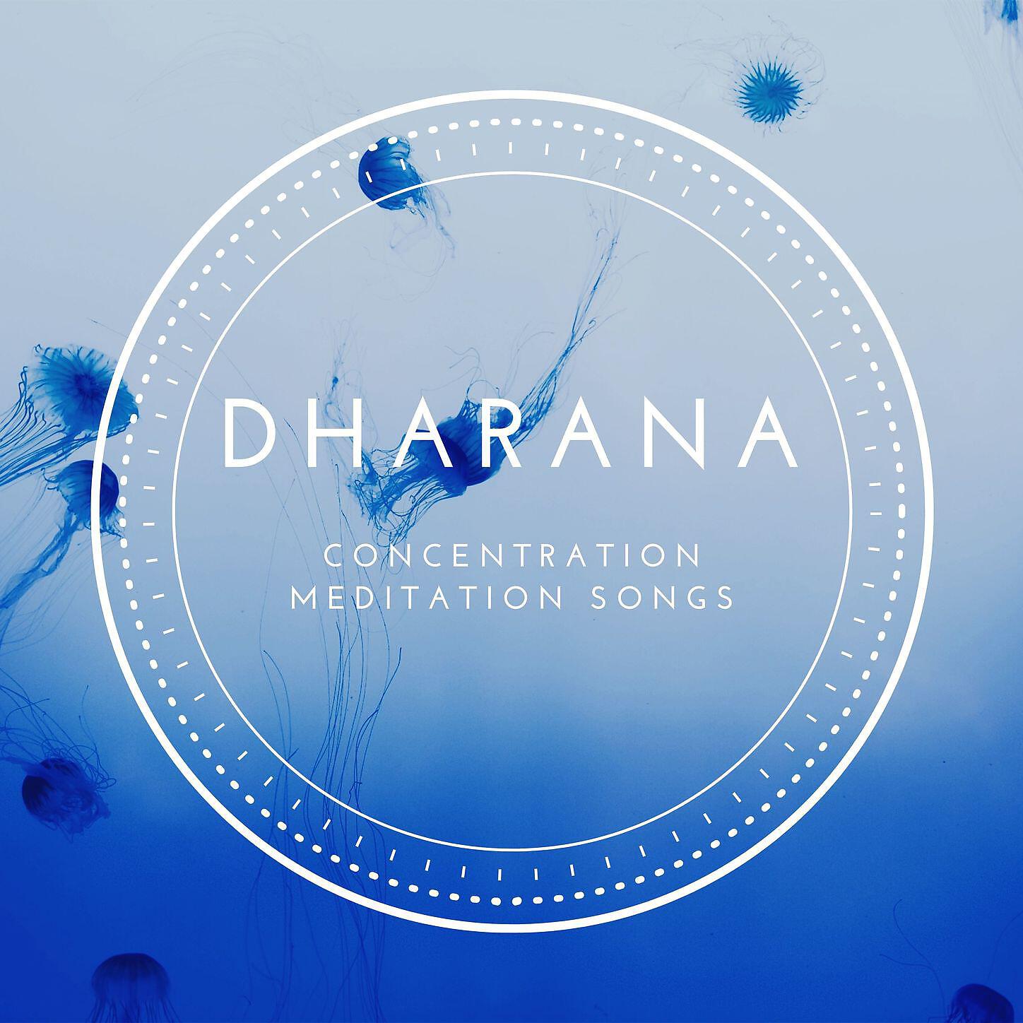 Shakti Deva Kaur - Amazing World