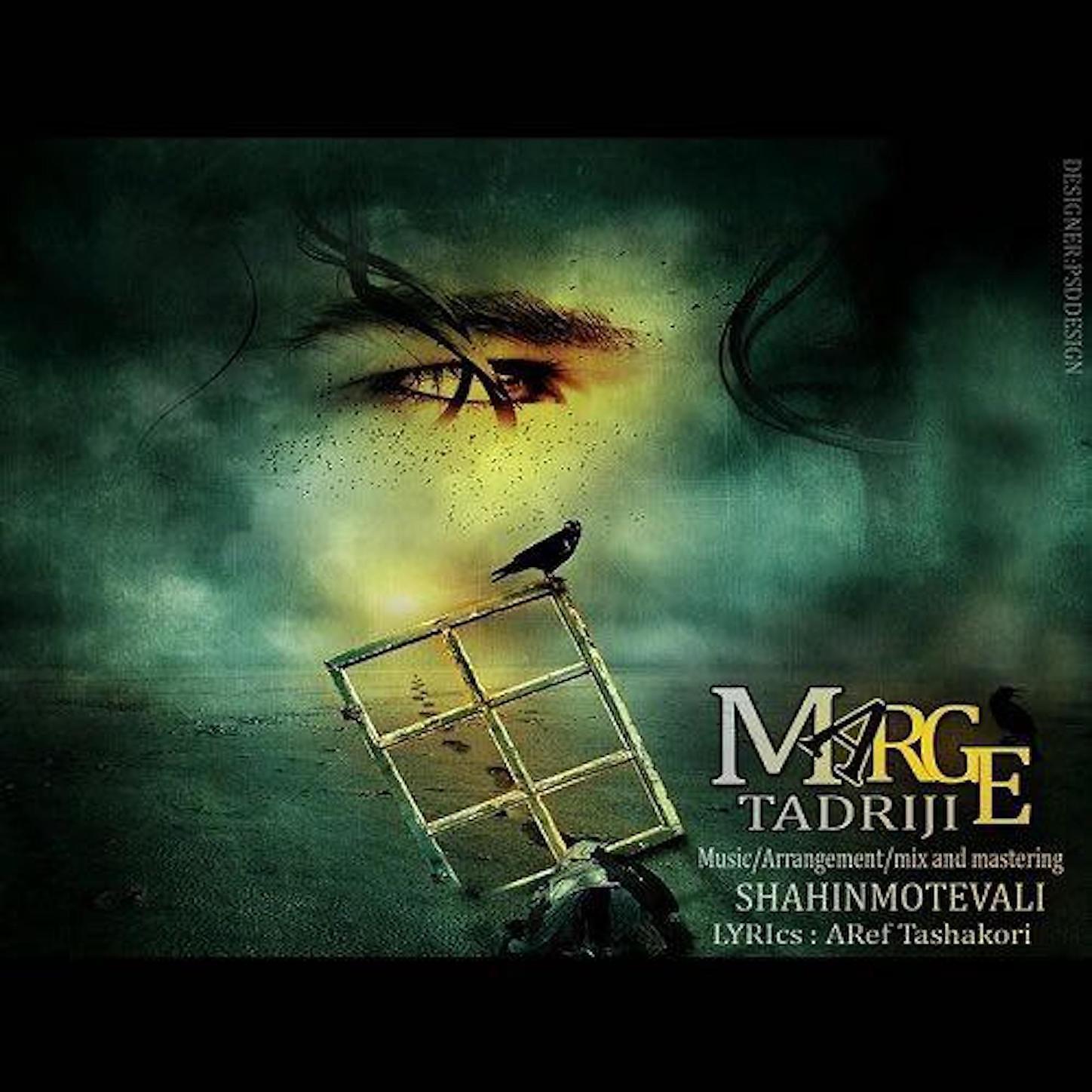 Shahin Motevalli - Marge Tadriji