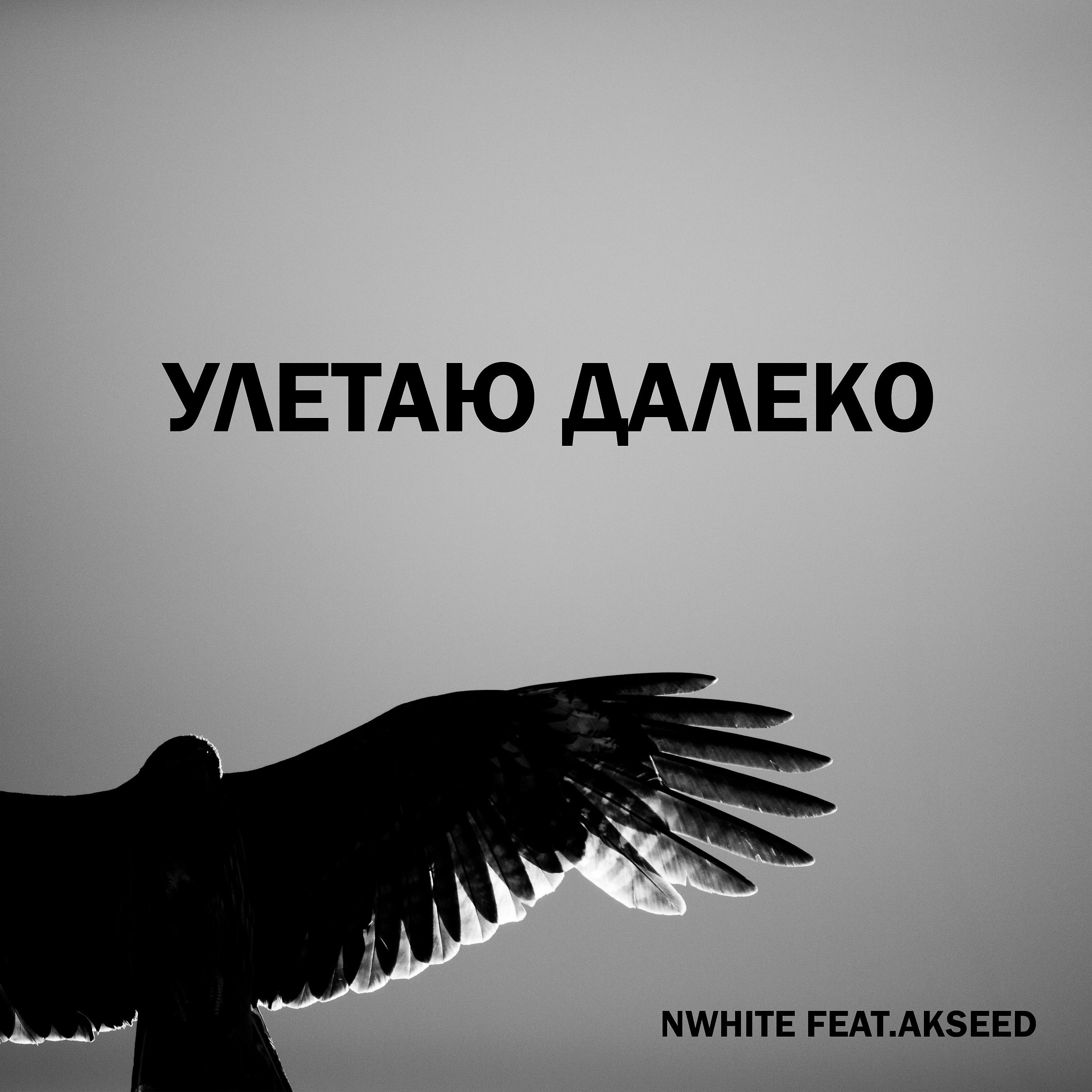 Постер альбома Улетаю далеко (feat. Akseed)