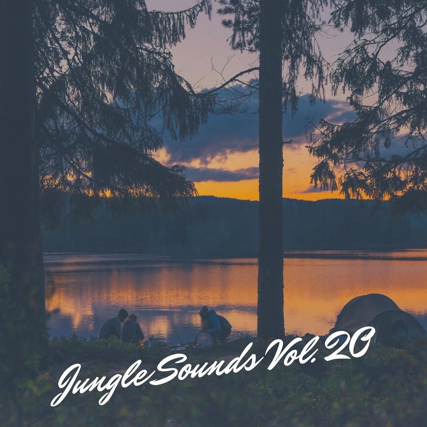Постер альбома Jungle Sounds Vol. 20