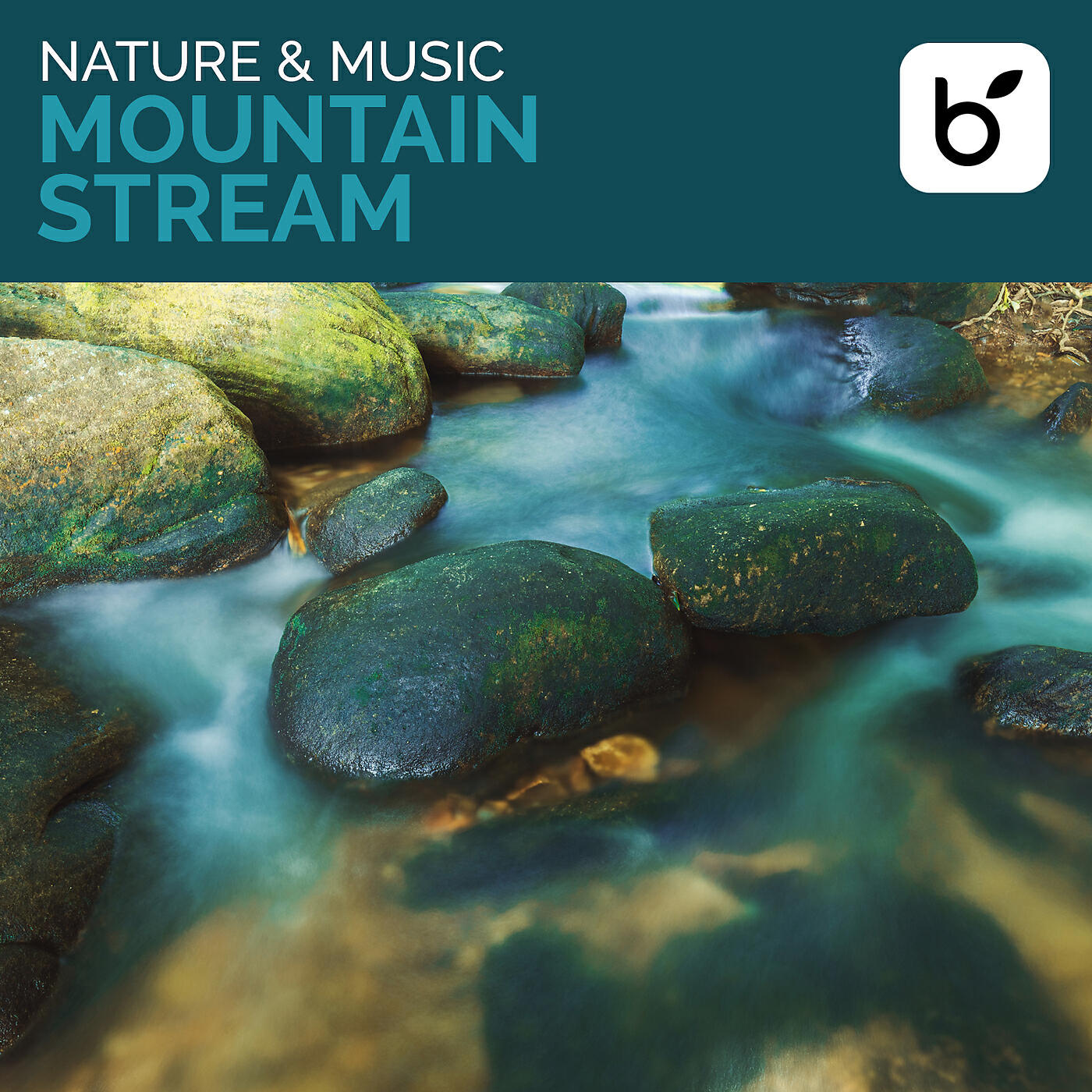 Brian Hardin - Yosemite Dream