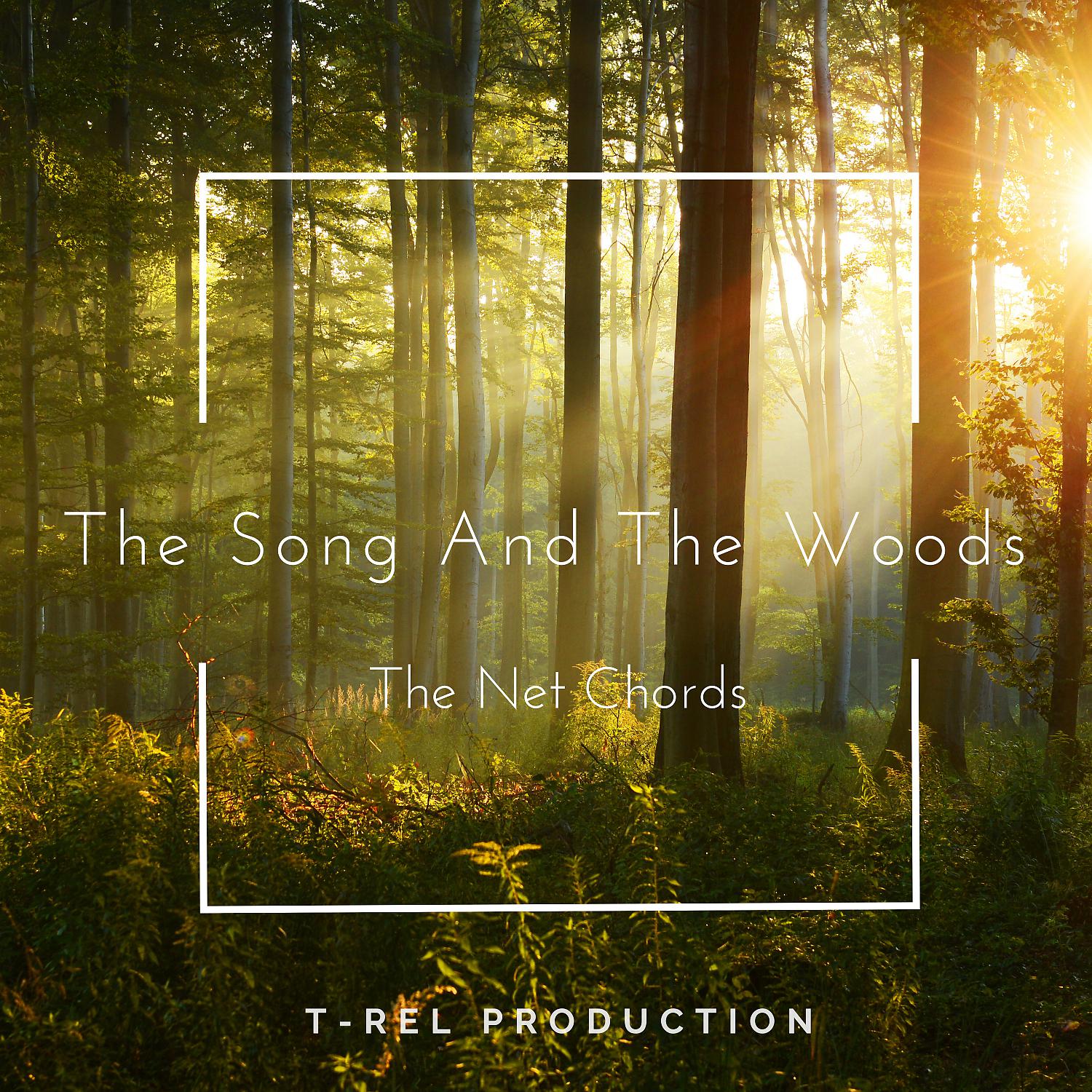 Постер альбома The Song And The Woods