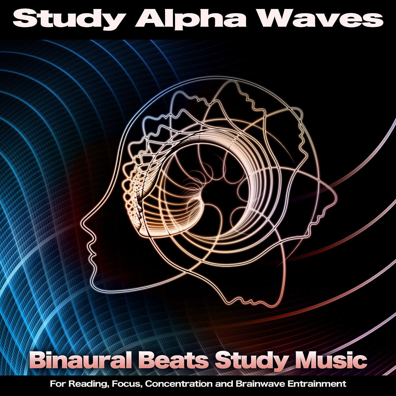 Постер альбома Study Alpha Waves: Binaural Beats Study Music For Reading, Focus, Concentration and Brainwave Entrainment