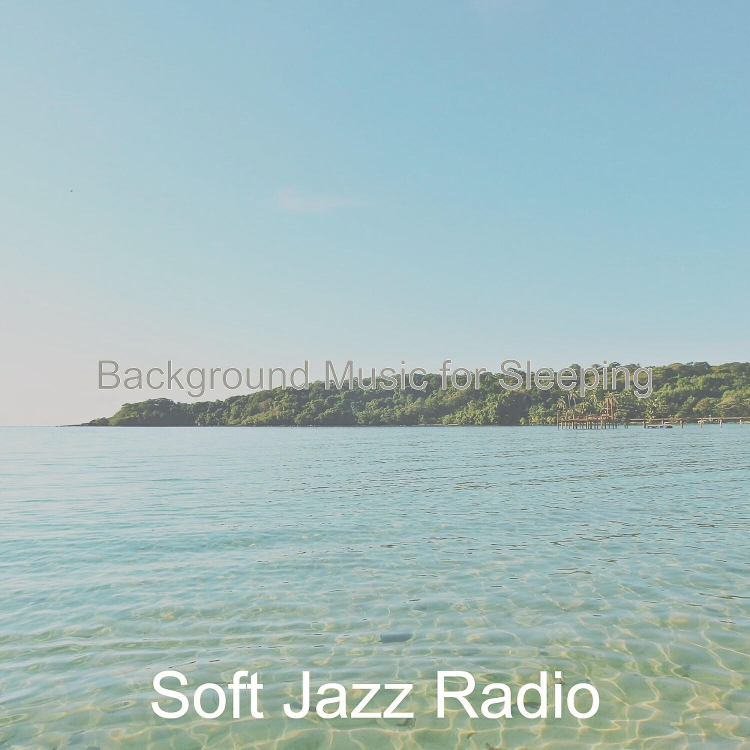 Soft Jazz Radio - Tasteful Jazz Quartet - Bgm for WFH