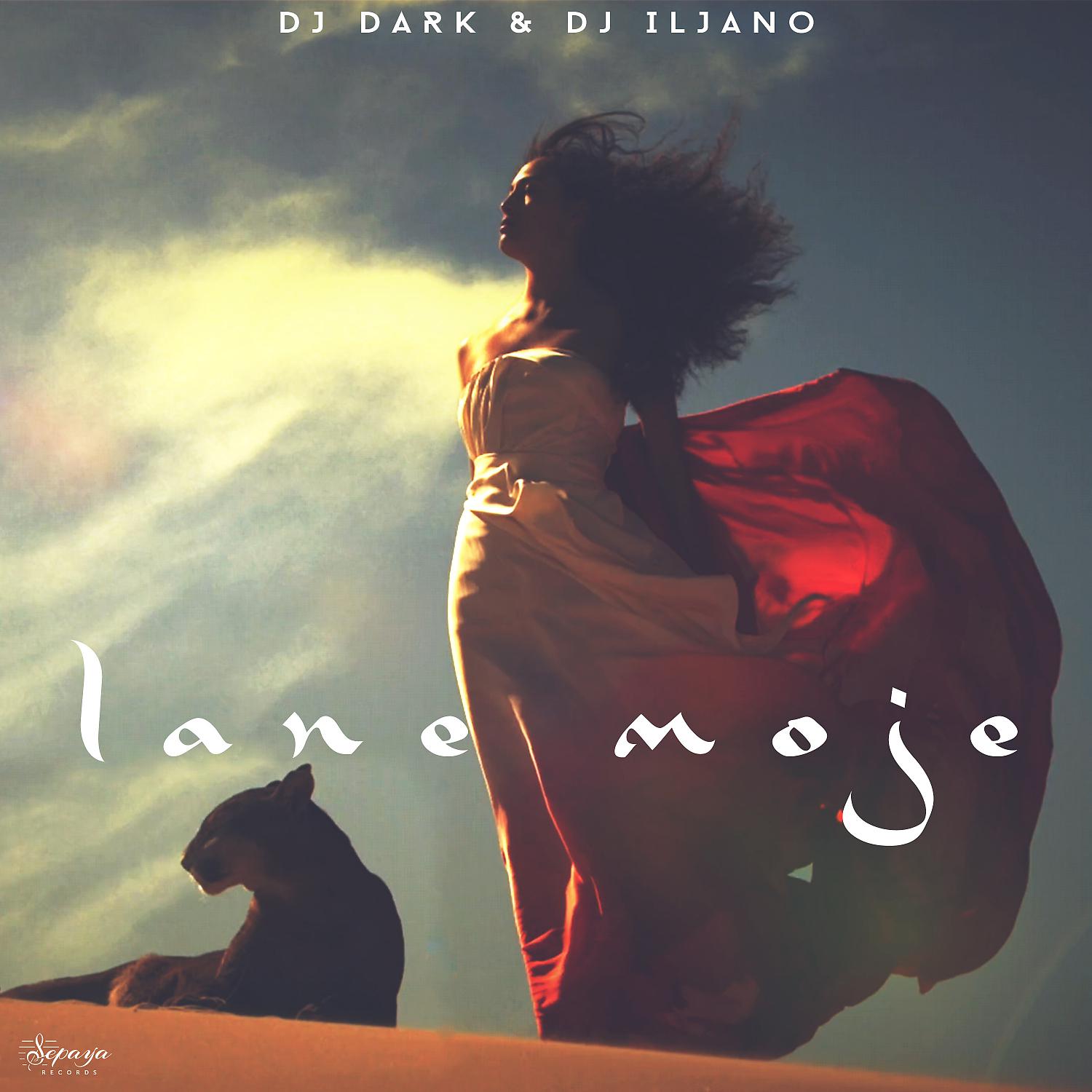 Постер альбома Lane Moje