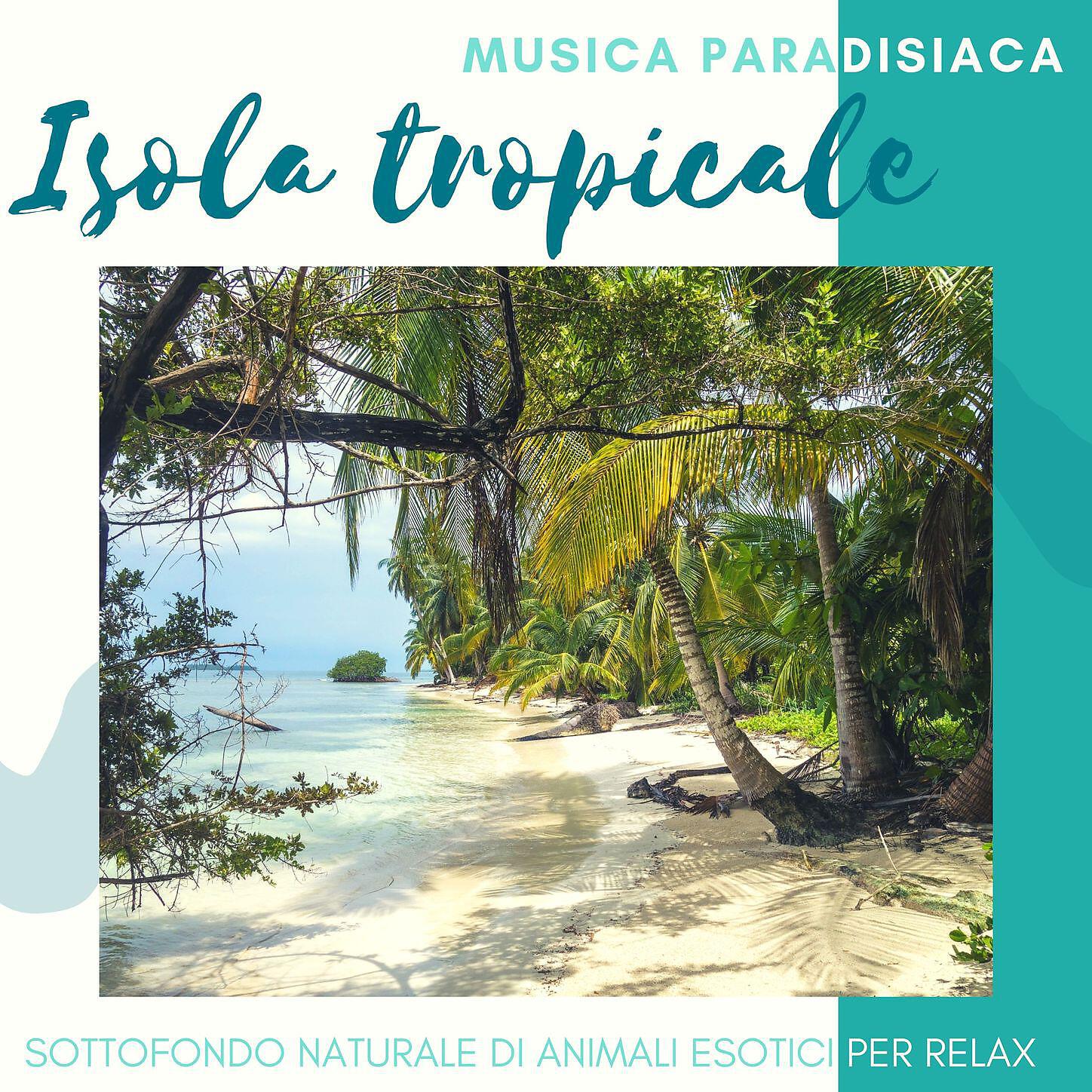 Isola Tropicale - Isole incantevoli