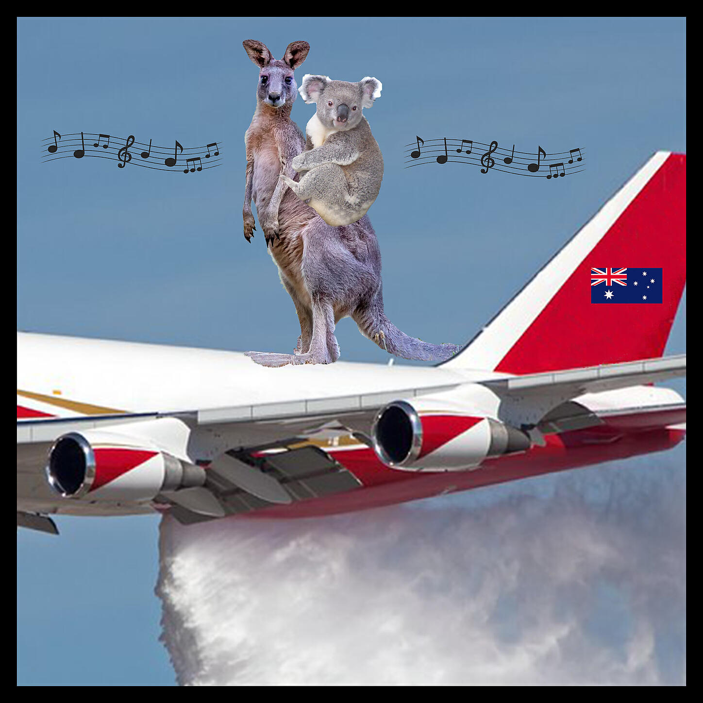 Human Relief Fleet - Koala Kangaroo