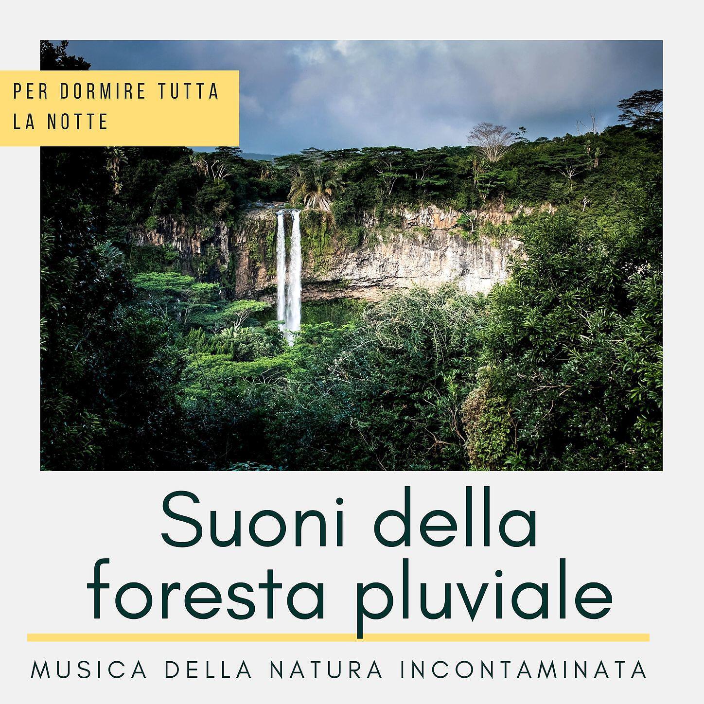 Idrissa Silita - Natura, dormire tutta la notte
