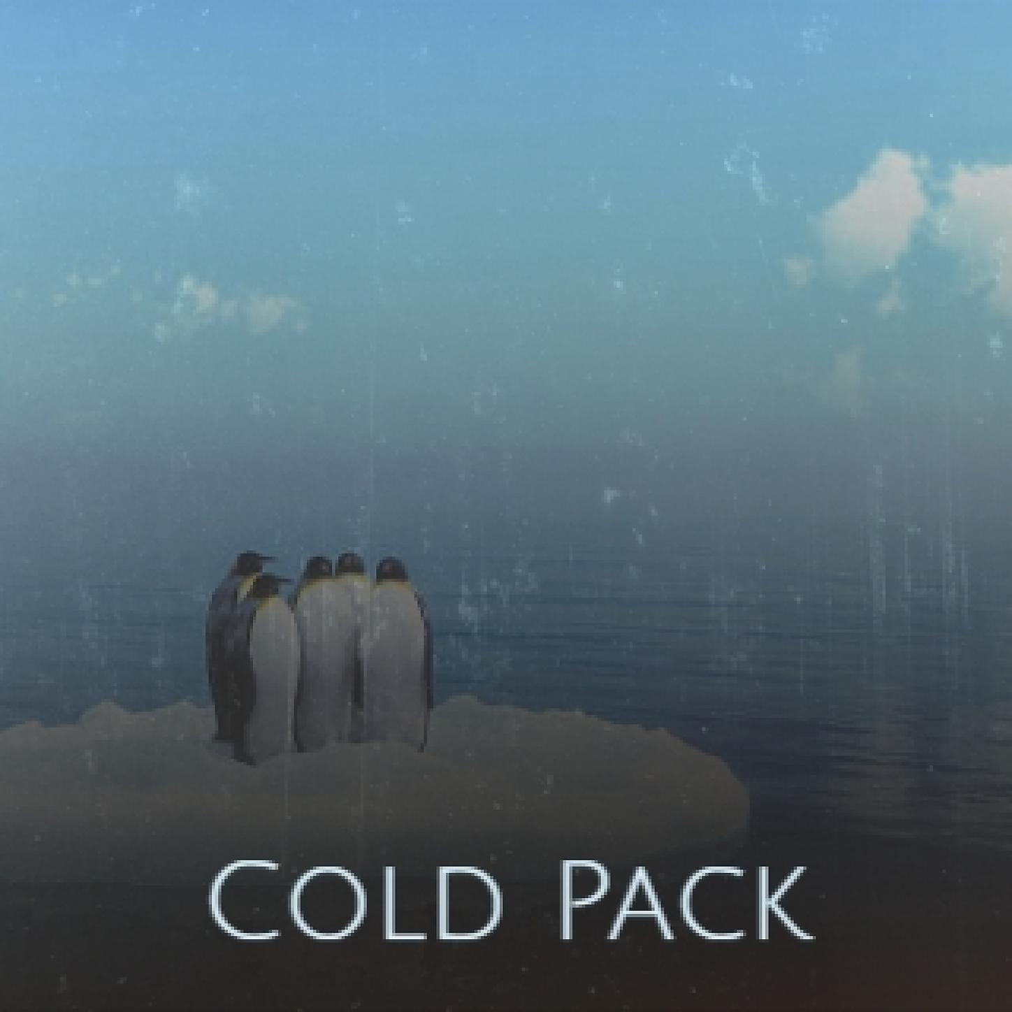 David Flavin/Roland Rudzitis - Cold Pack