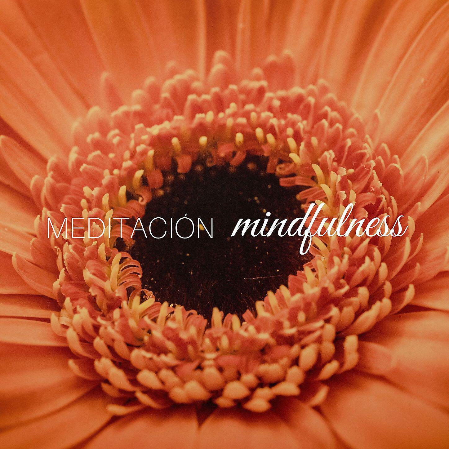 Musica Meditacion, Musica de Relajacion Espace - Yoga y Meditación