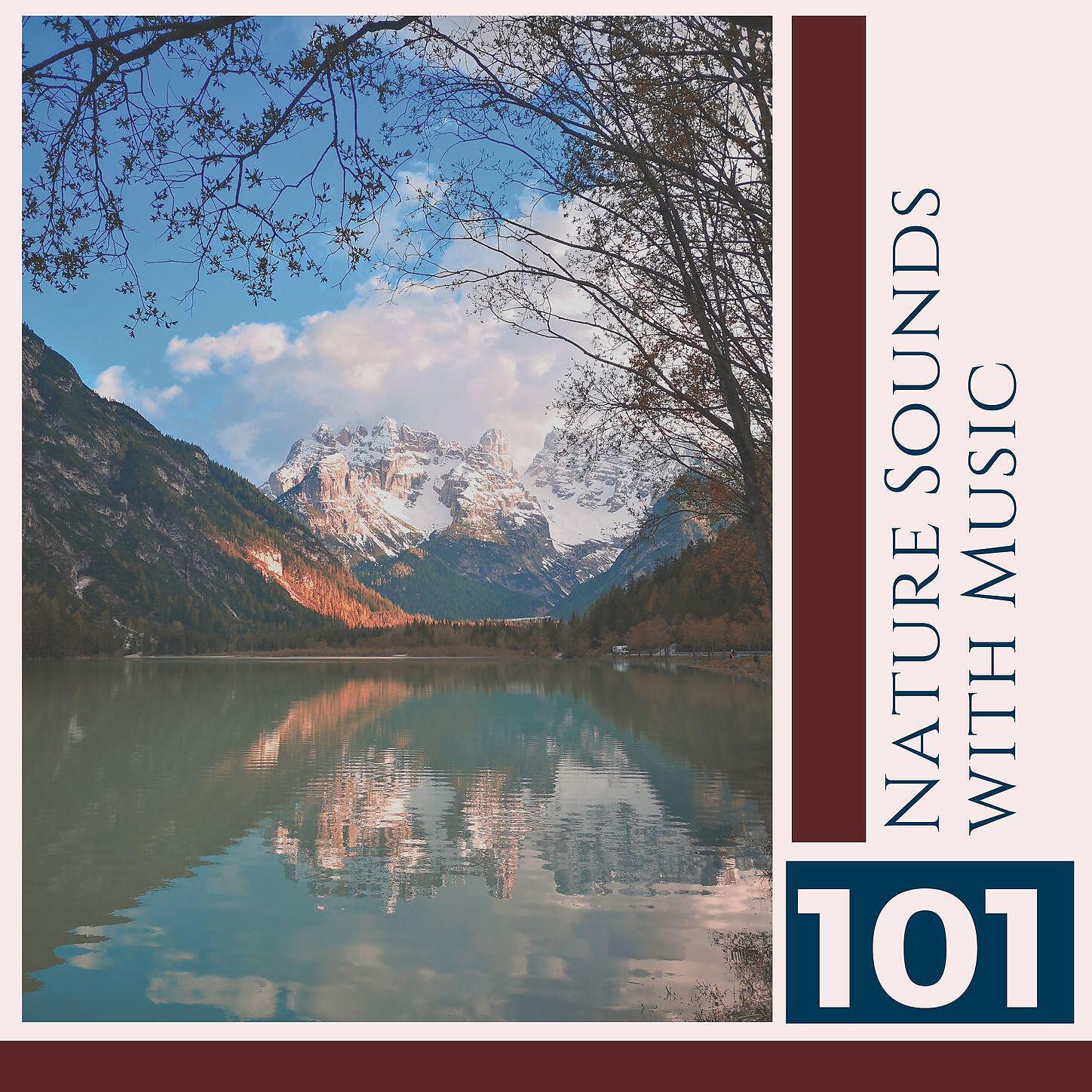 Native American Flute - Relaxation Tapes (Anti Anxiety Cleanse)