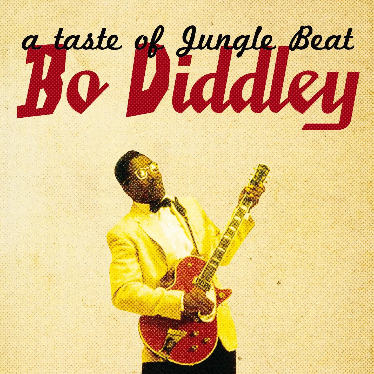 Постер альбома A Taste of Jungle Beat
