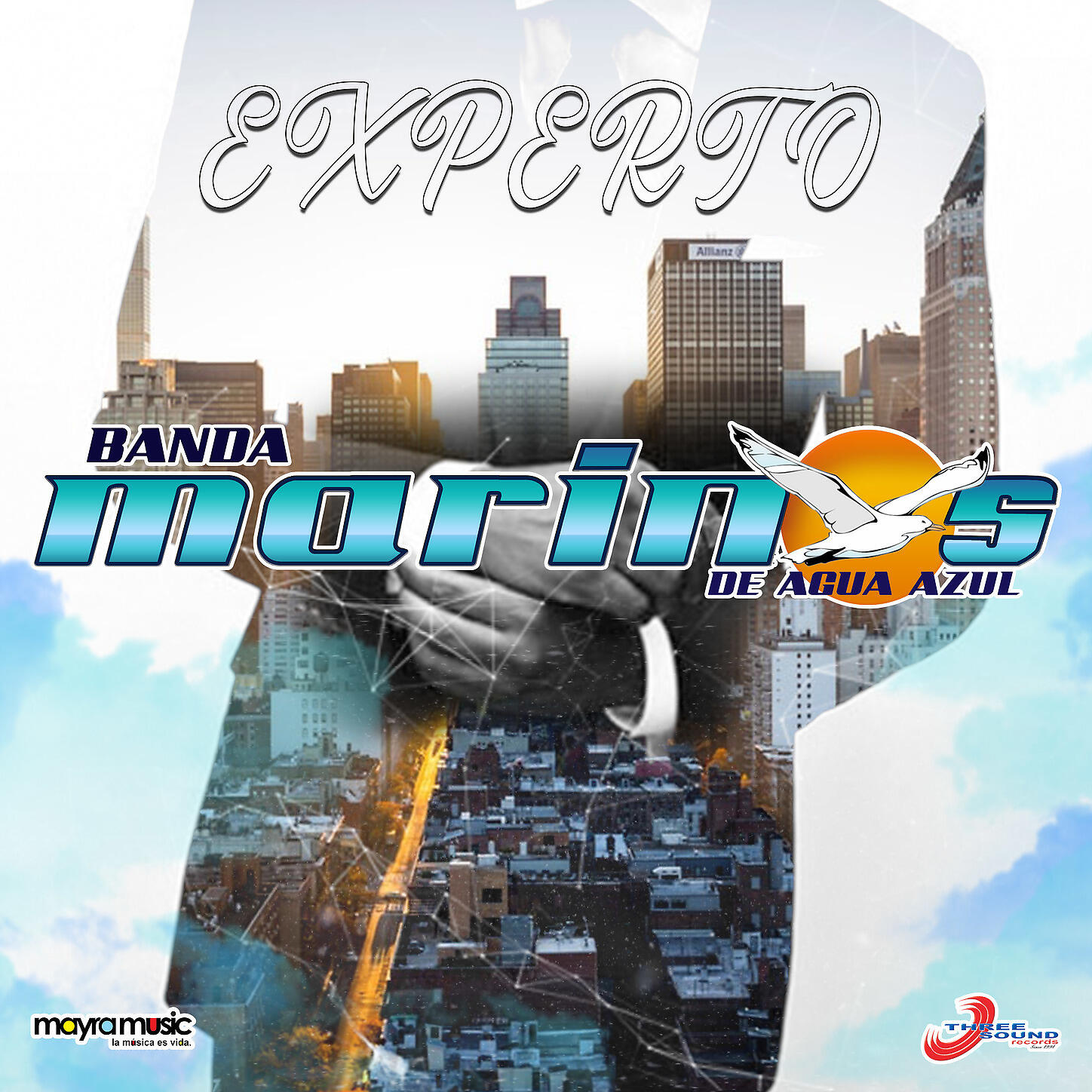 Banda Marinos - Experto