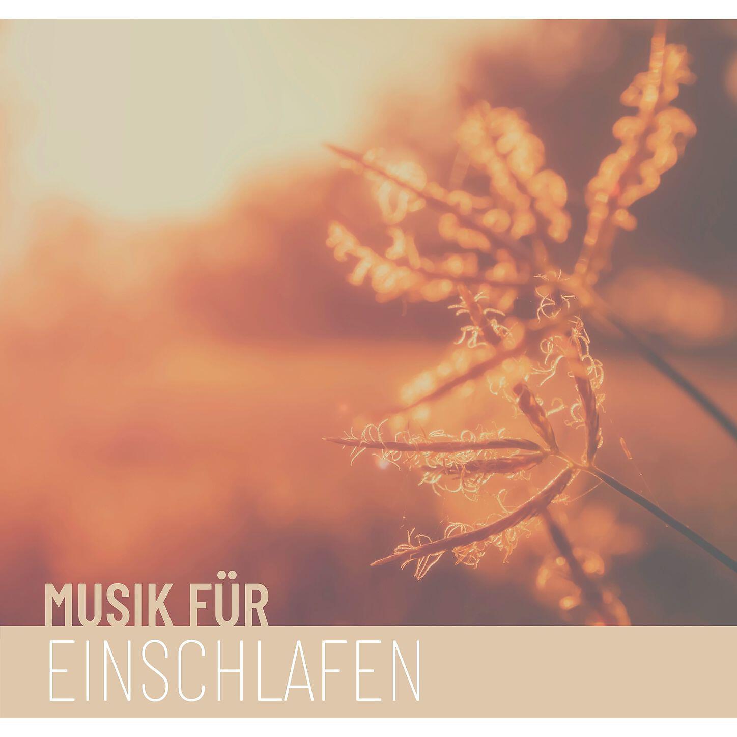 Asiatische Musik - Hypnose für Positive Energie und Vertrauen