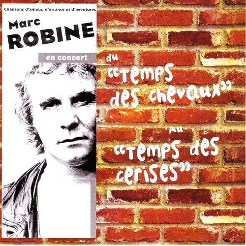 Marc Robine - Dans la ville d'anvers