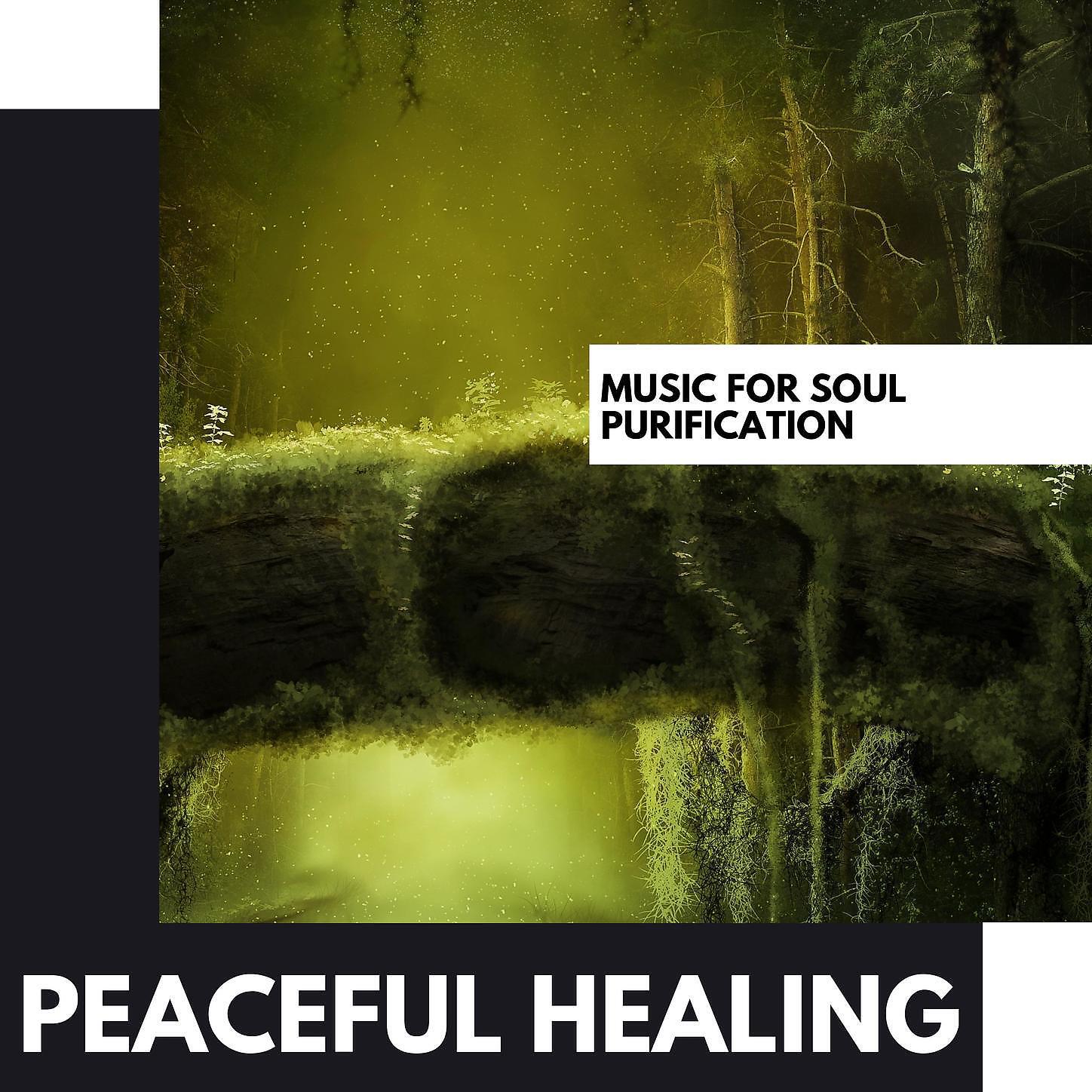 Forest Therapy - Sound Healing Frequencies