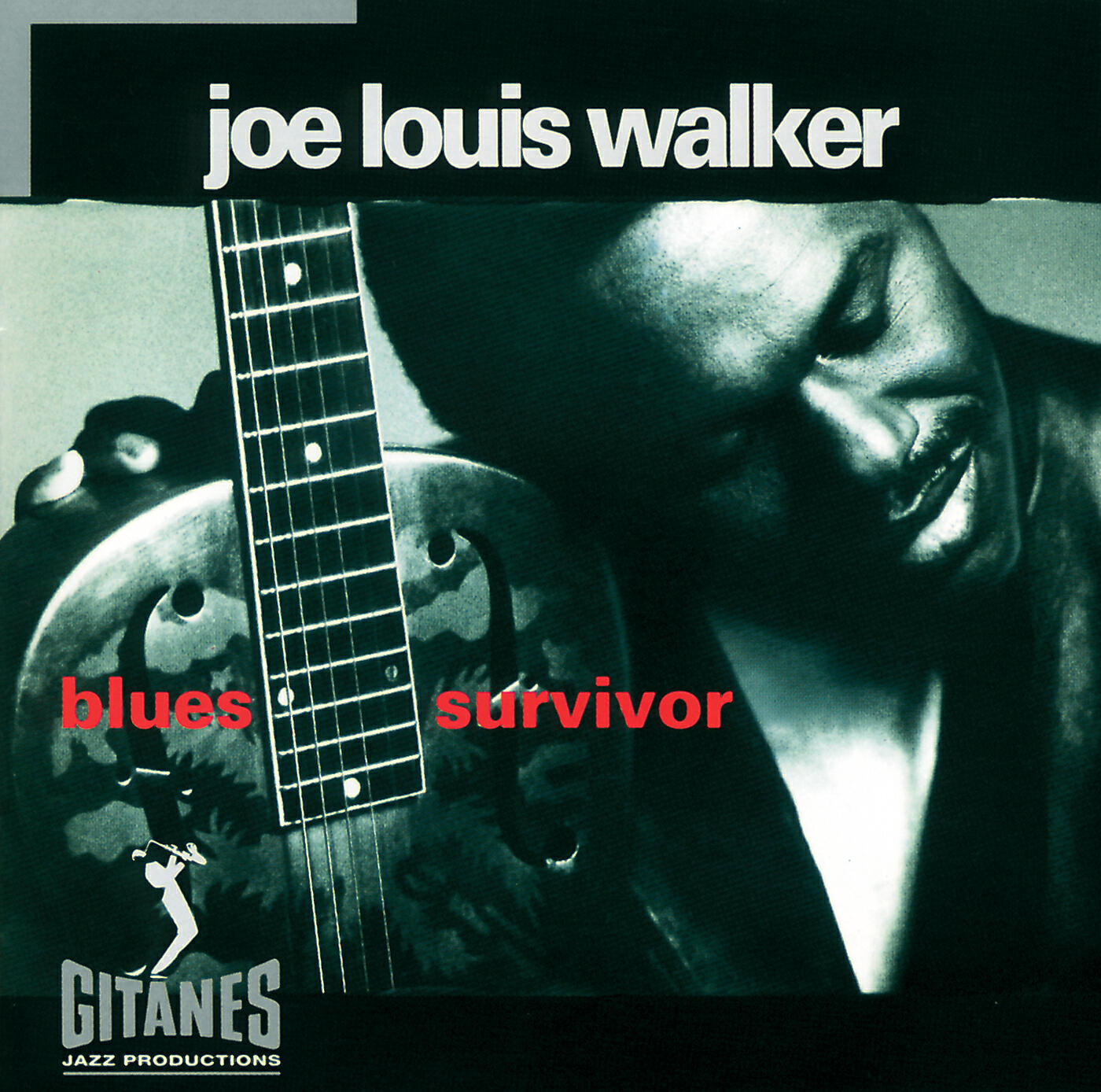 Joe Louis Walker - Shake For Me (Album Version)