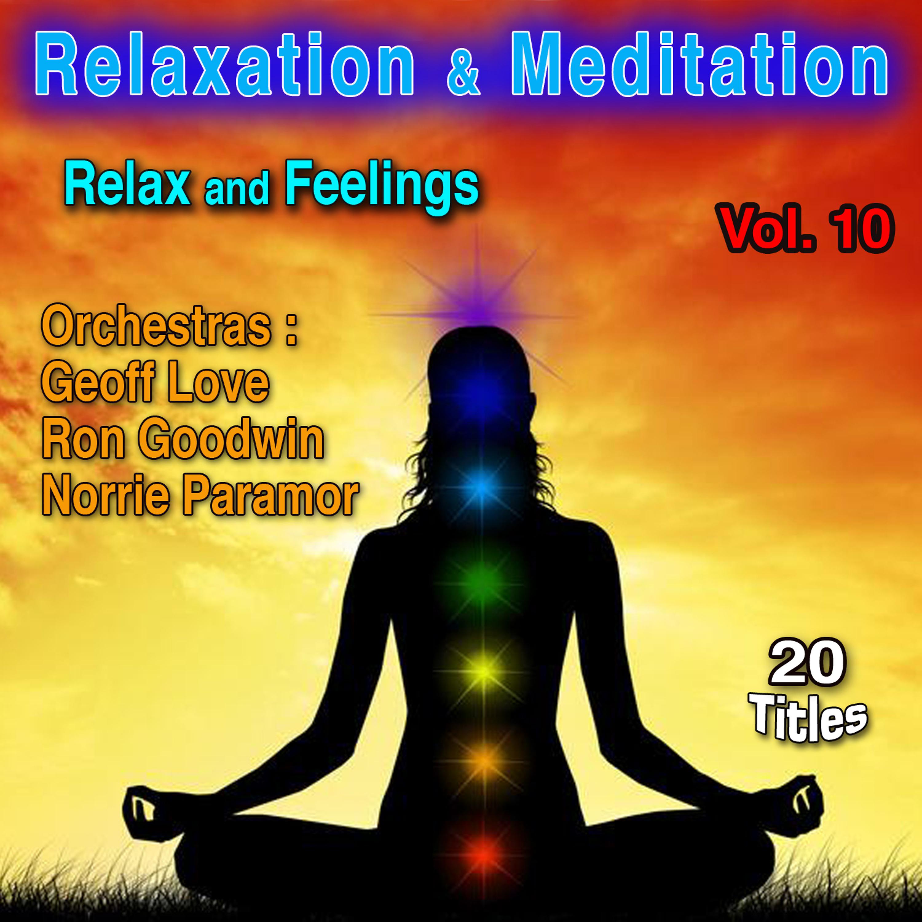 Постер альбома Relaxation & Meditation Vol. 10: Relax and Feelings