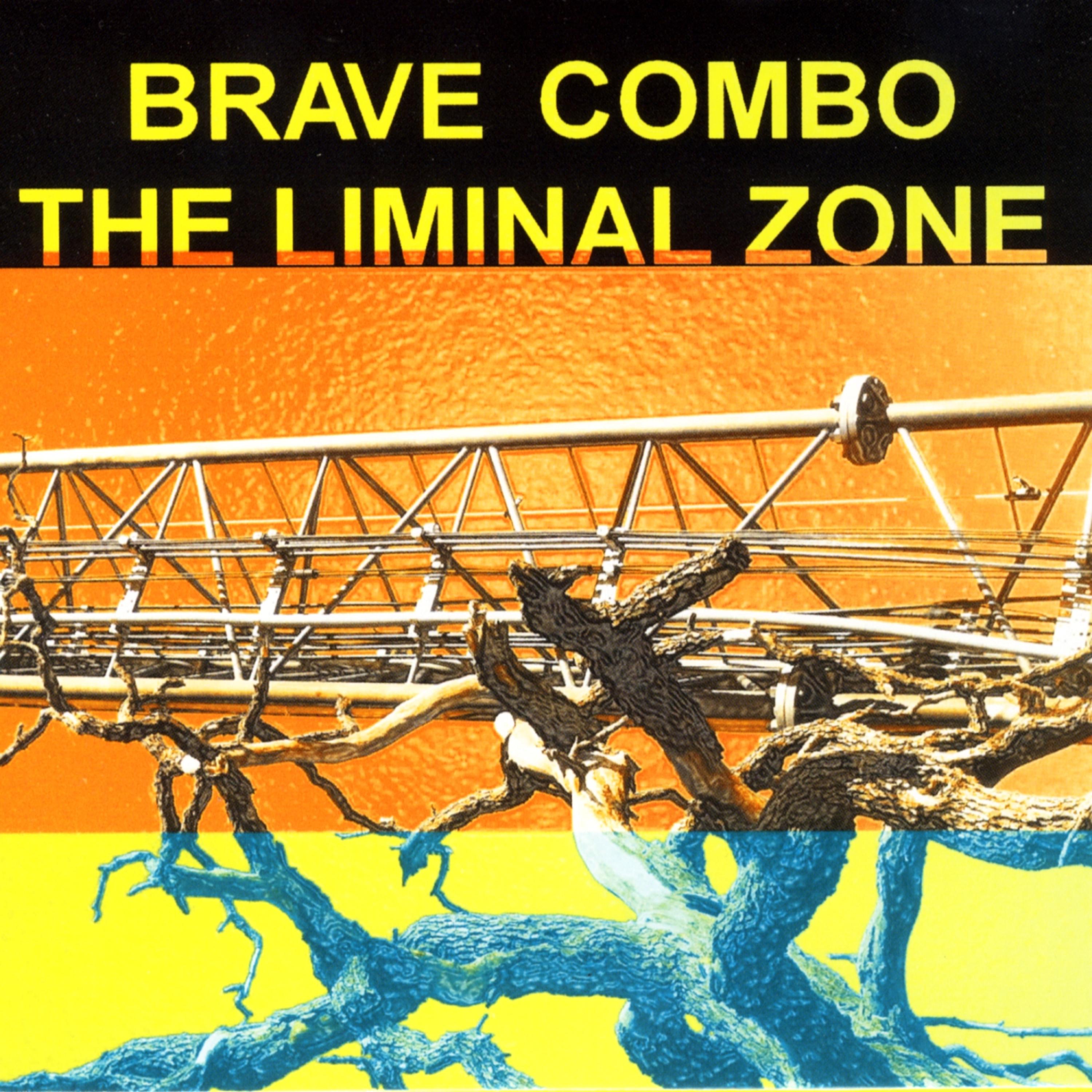 Постер альбома The Liminal Zone