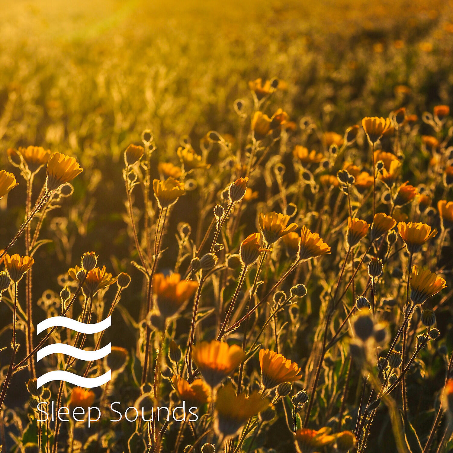 Ruido blanco del ventilador - Sonidos ambientales de ruido blanco