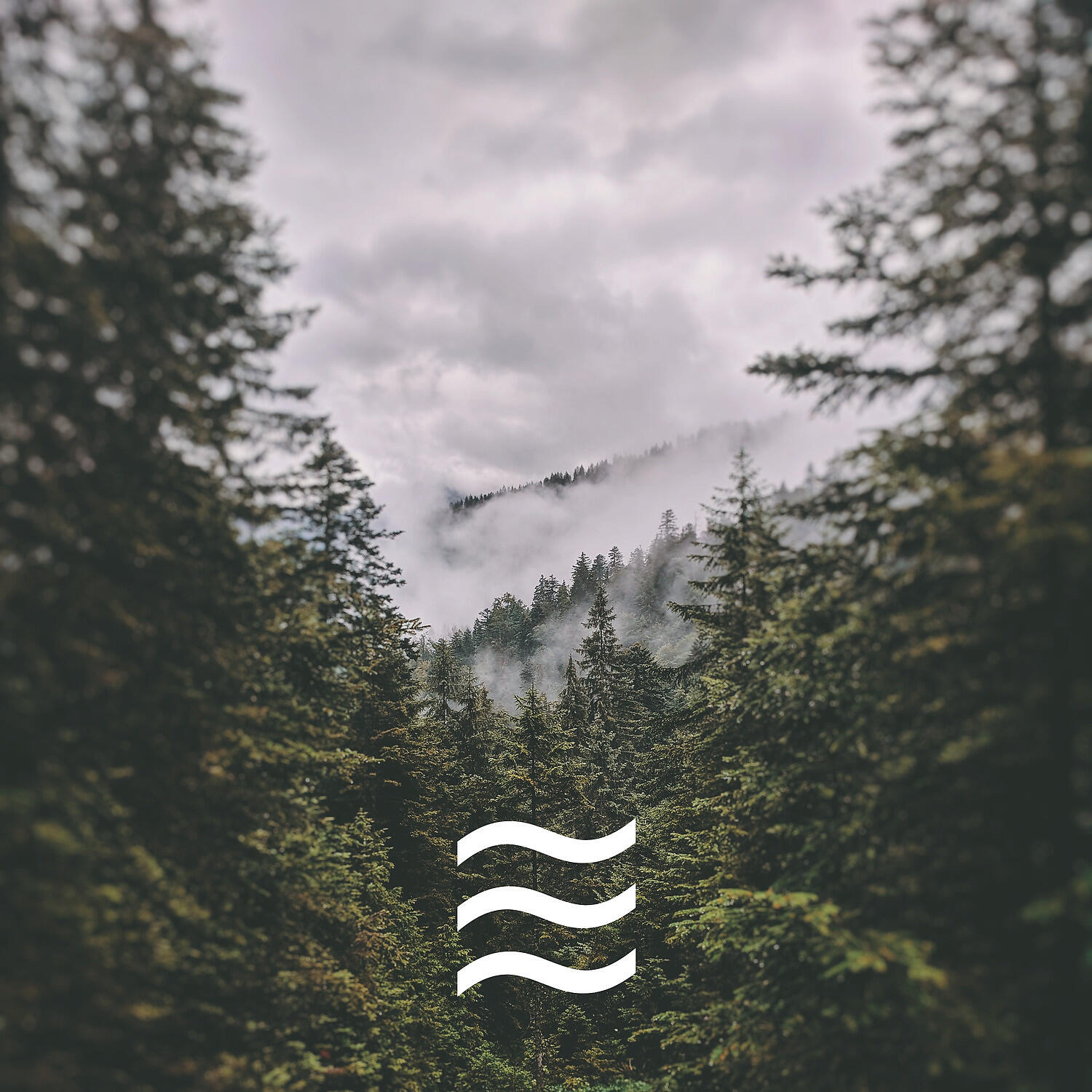 Noises of Raining - Shushing Raining Sounds