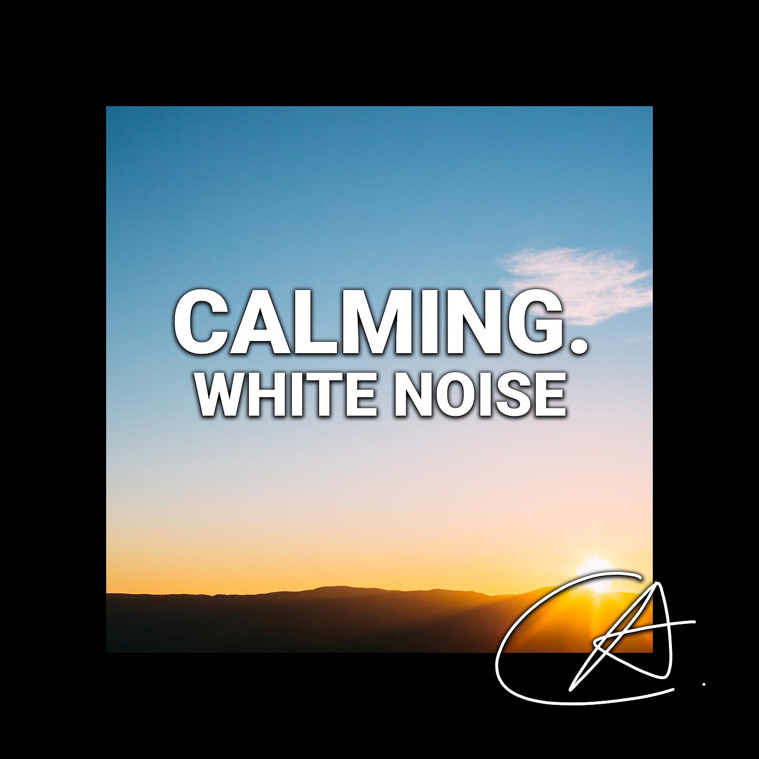 Постер альбома White Noise Calming