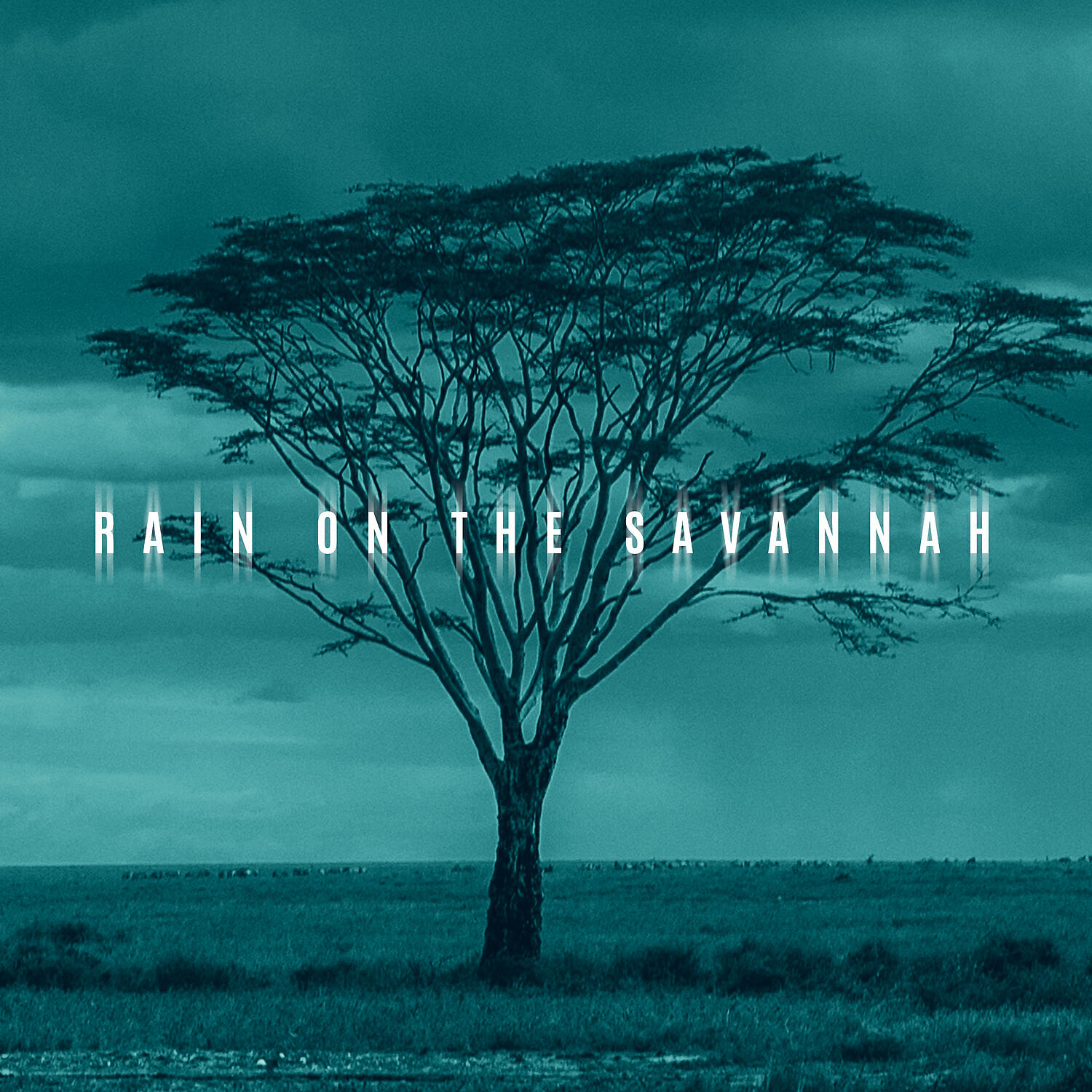 Carlos Carty - Rhythm of Nature