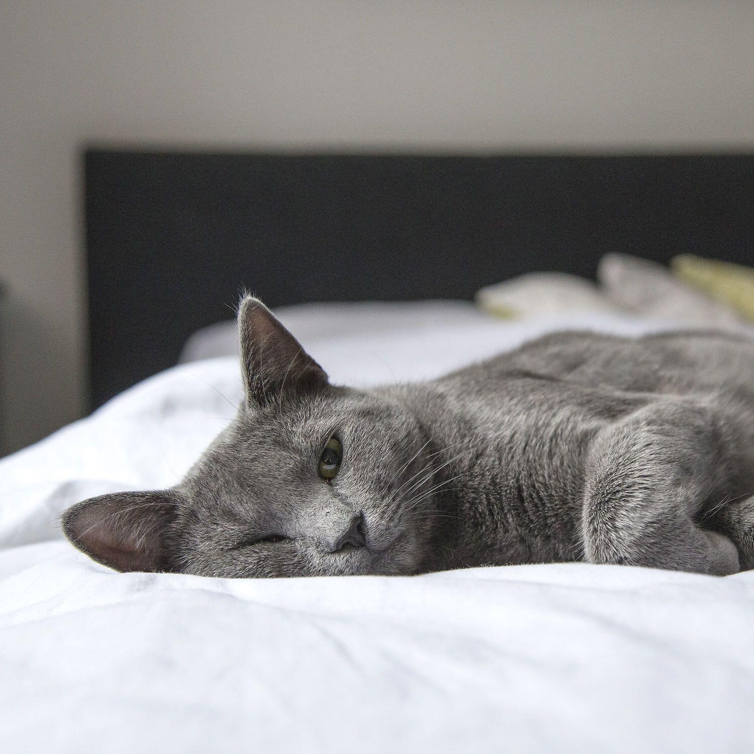 Deep Sleep System - Satisfying Calming Noise