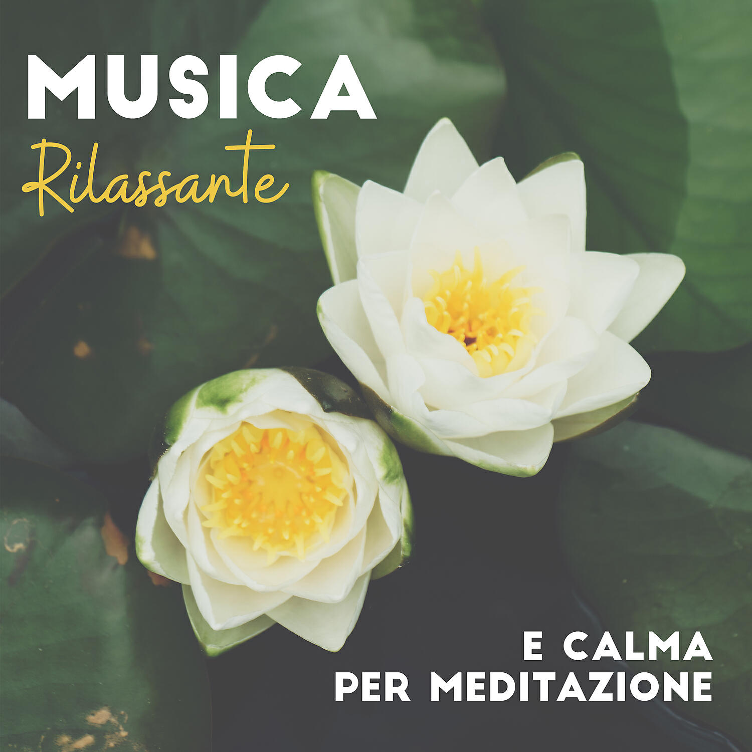 Relax Musica Zen Club - Musica New Age: Centri benessere