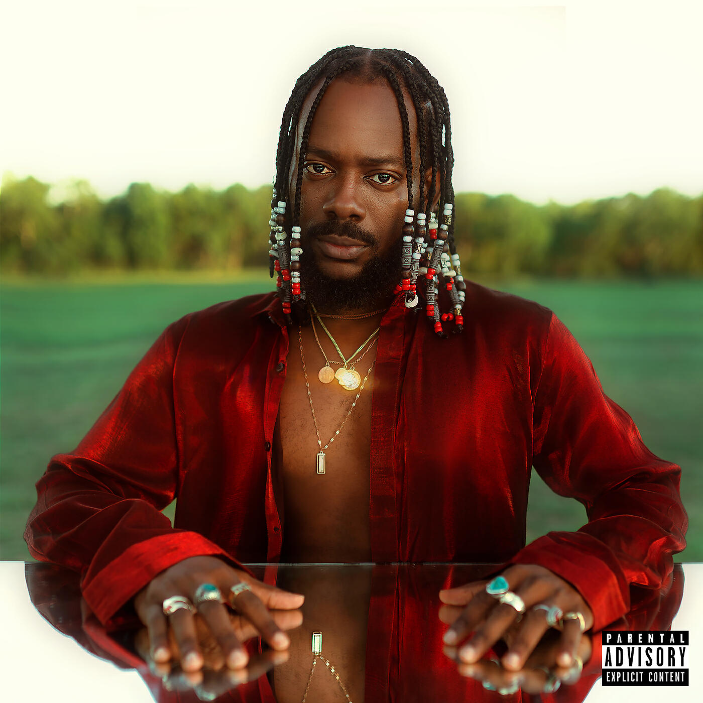 AdeKunle Gold - Firewood