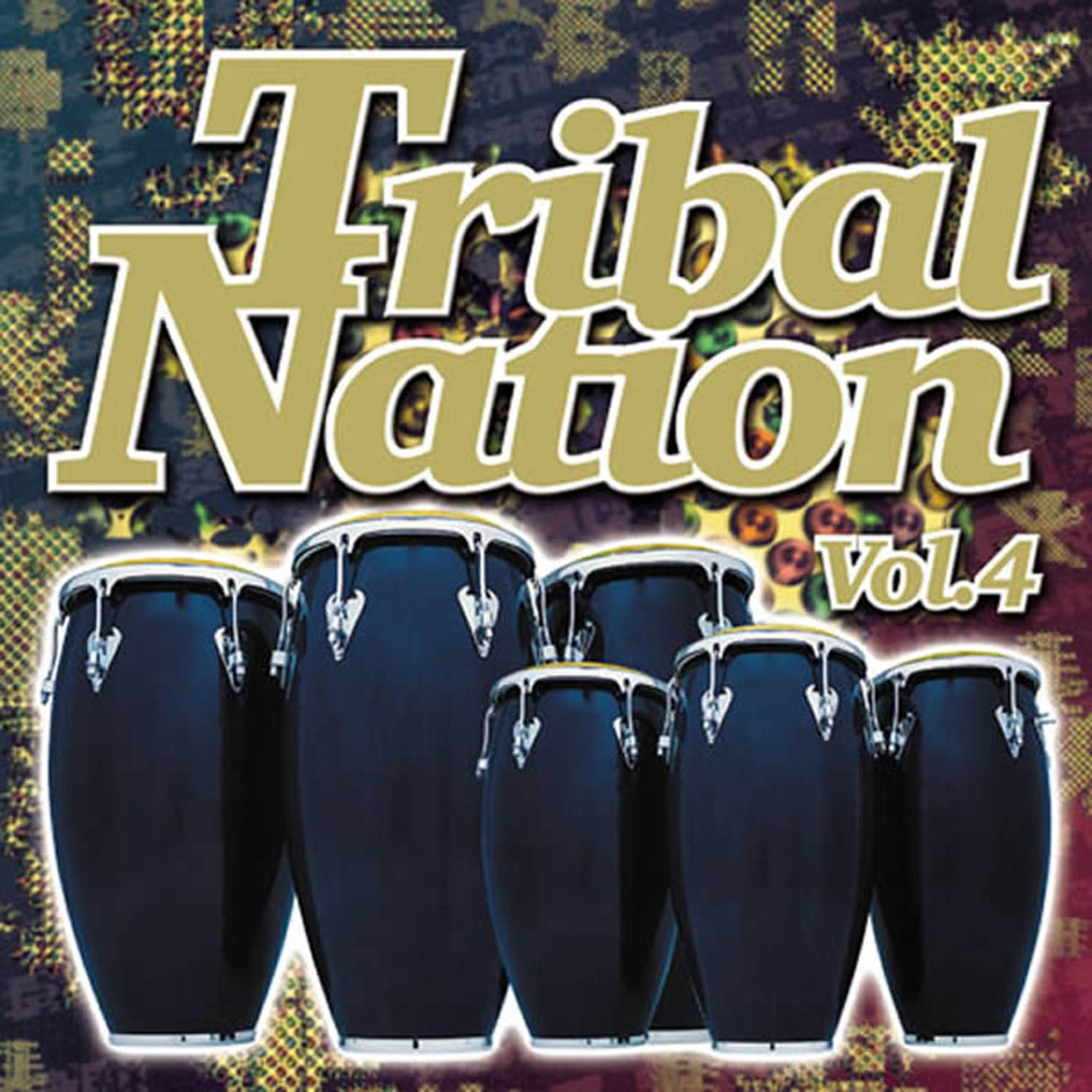 Постер альбома Tribal Nation 4