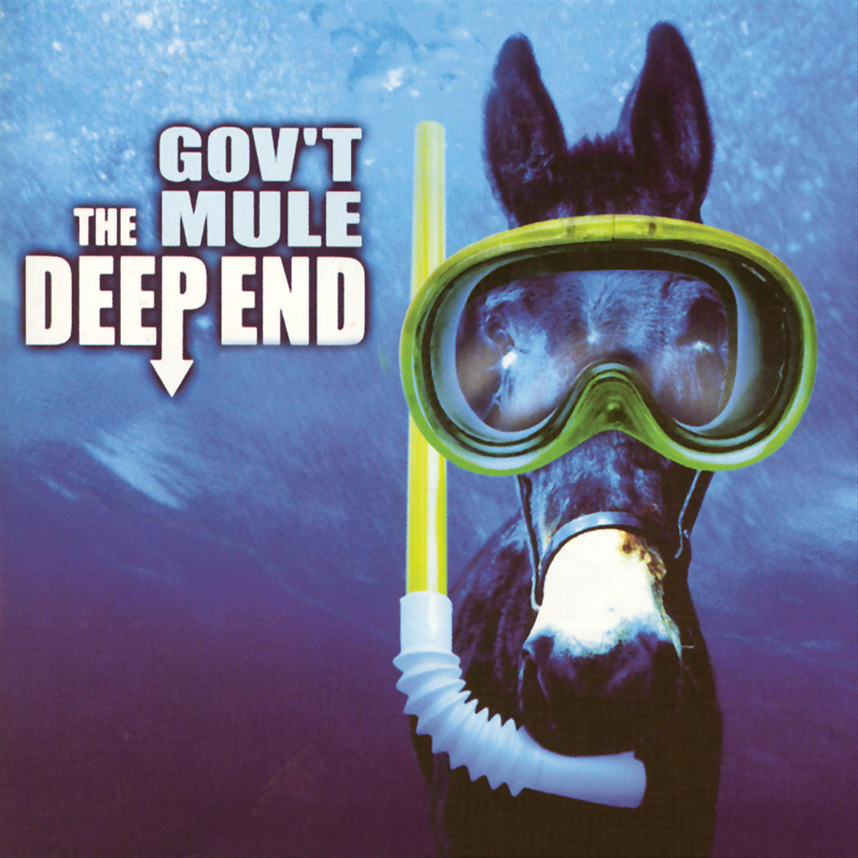 Постер альбома The Deep End