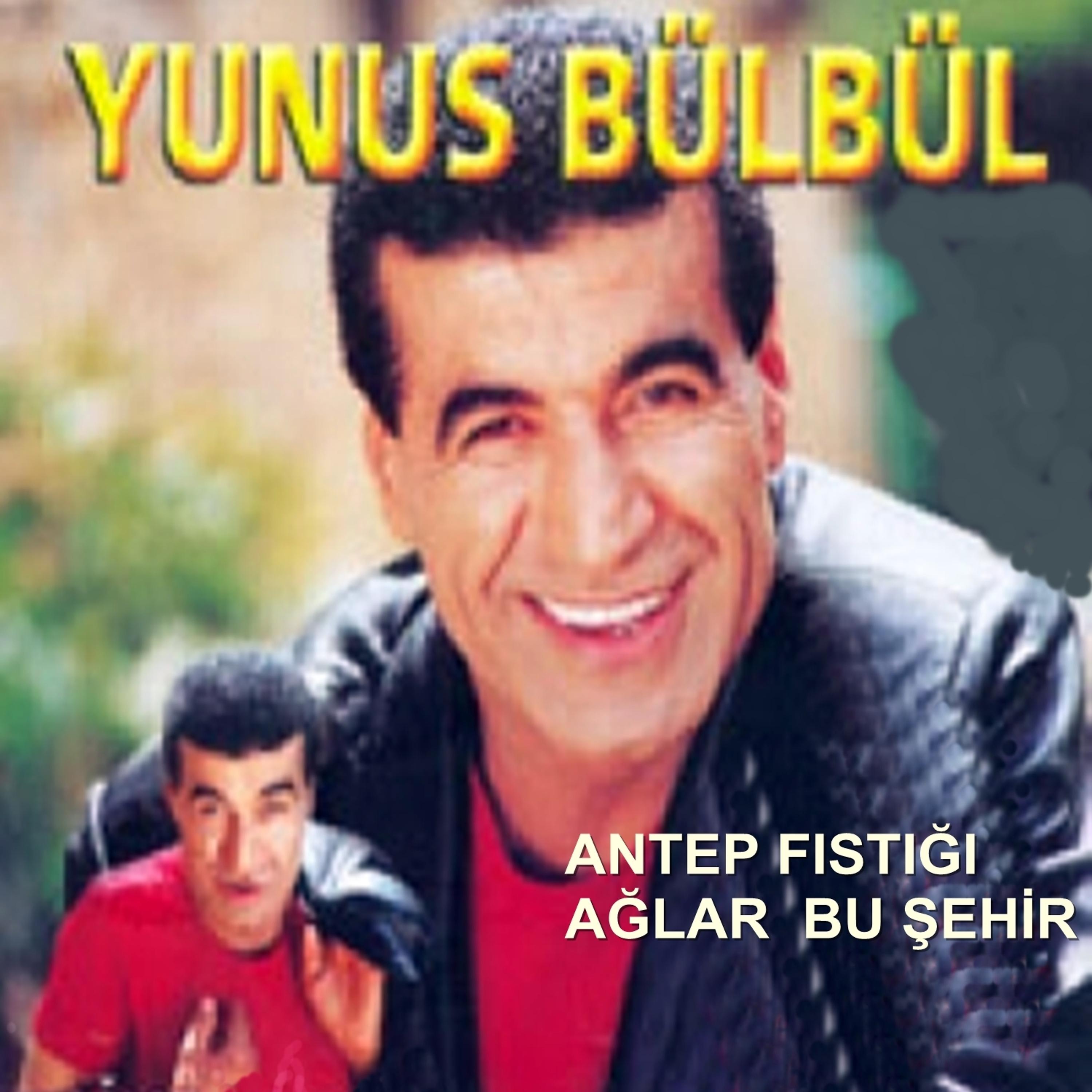 Постер альбома Ağlar Bu Şehir - Antep Fıstığı
