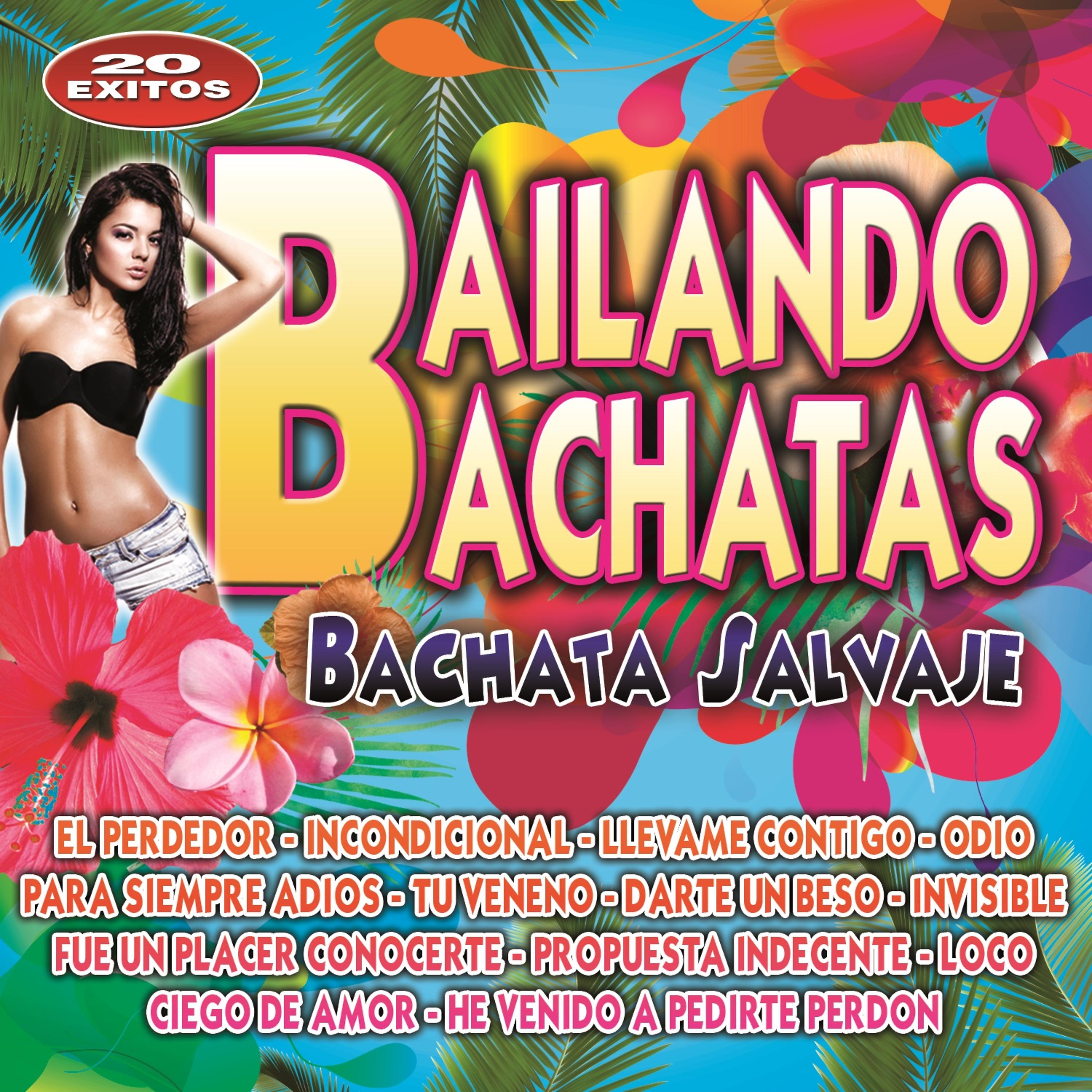 Постер альбома Bailando Bachatas