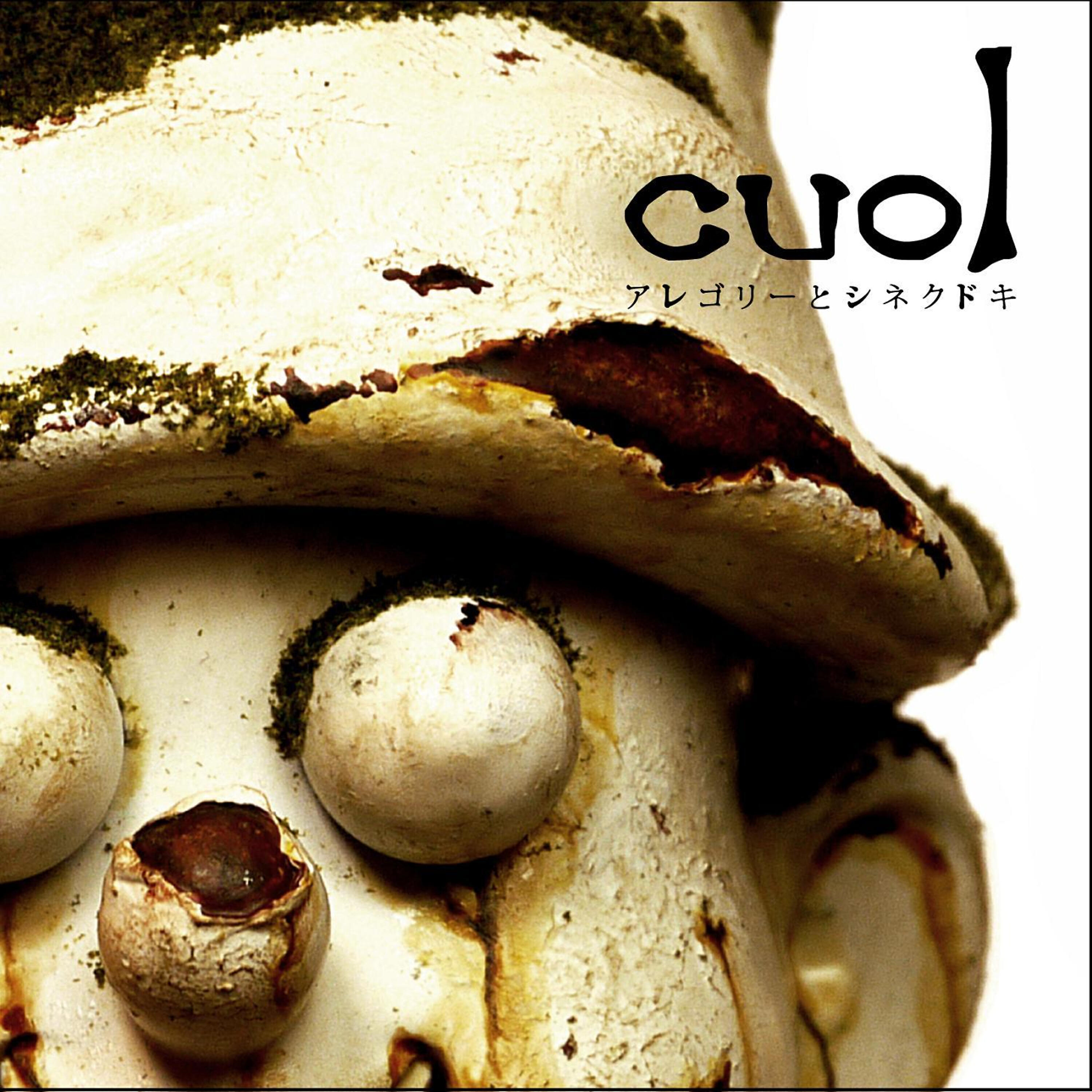 cuol - Allegory to Observer