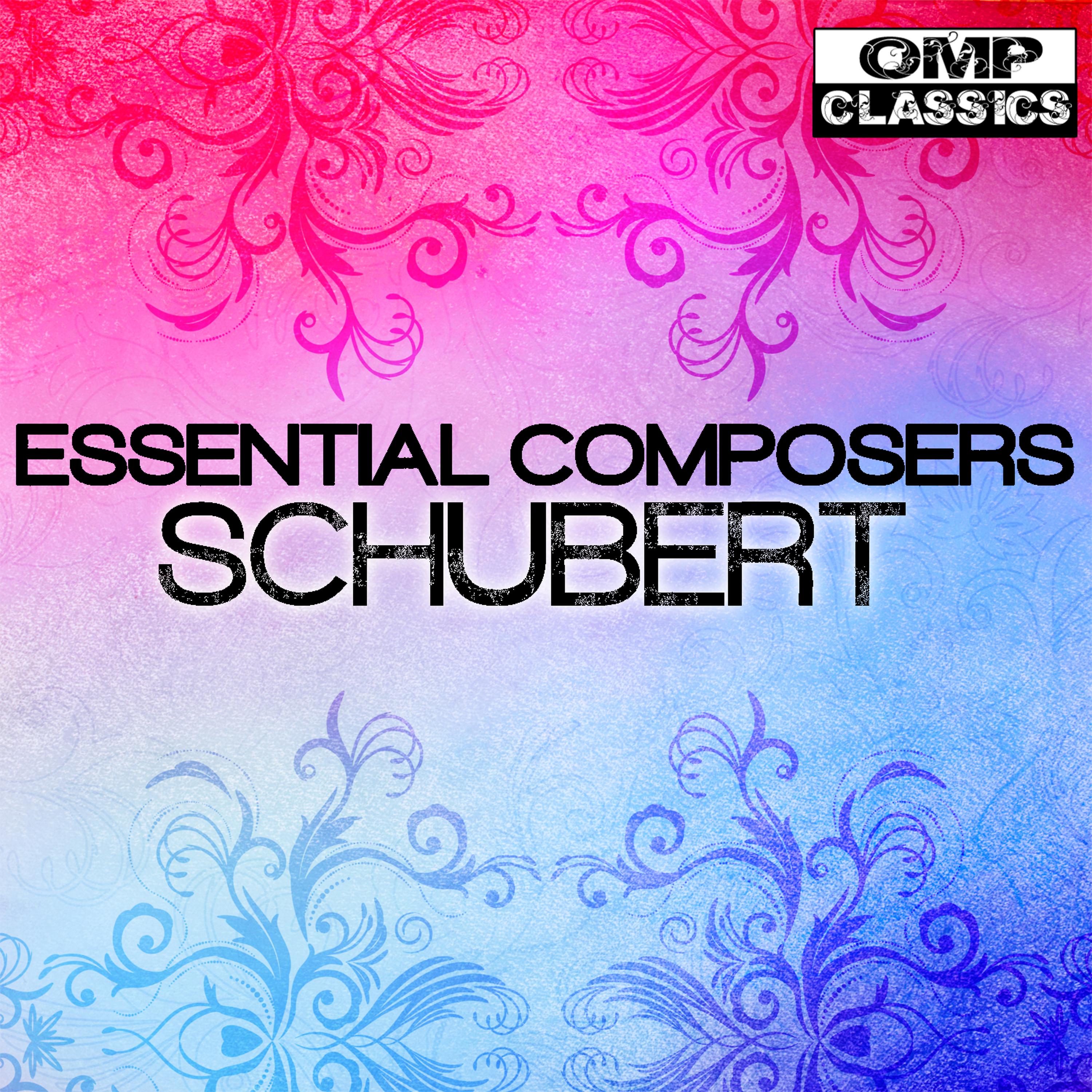 Постер альбома Essential Composers: Schubert