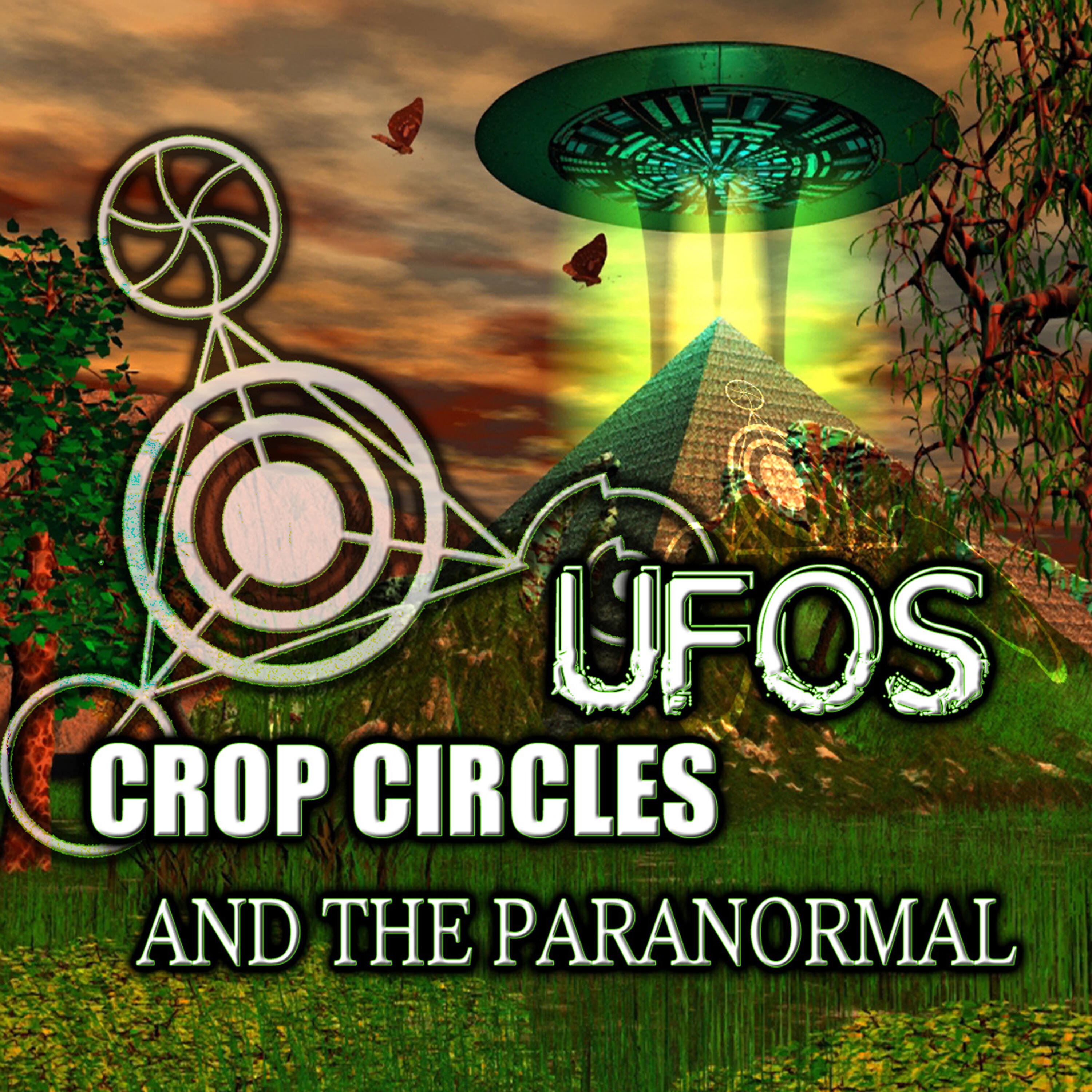 O.H. Krill - Crop Circles, UFOs and the Paranormal, Chapter 5