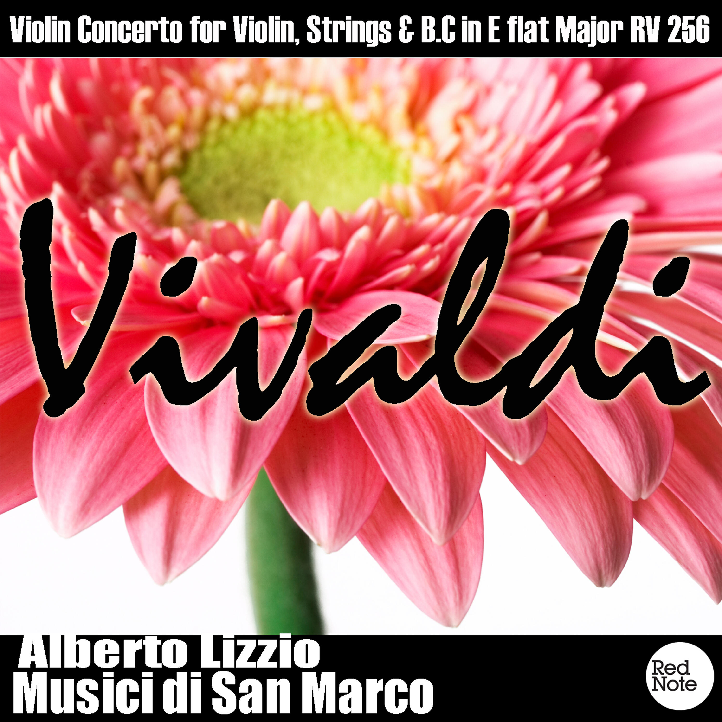 Alberto Lizzio - Violin Concerto for Violin, Strings & B.C in E Flat Major, RV 256: I. Allegro Assai